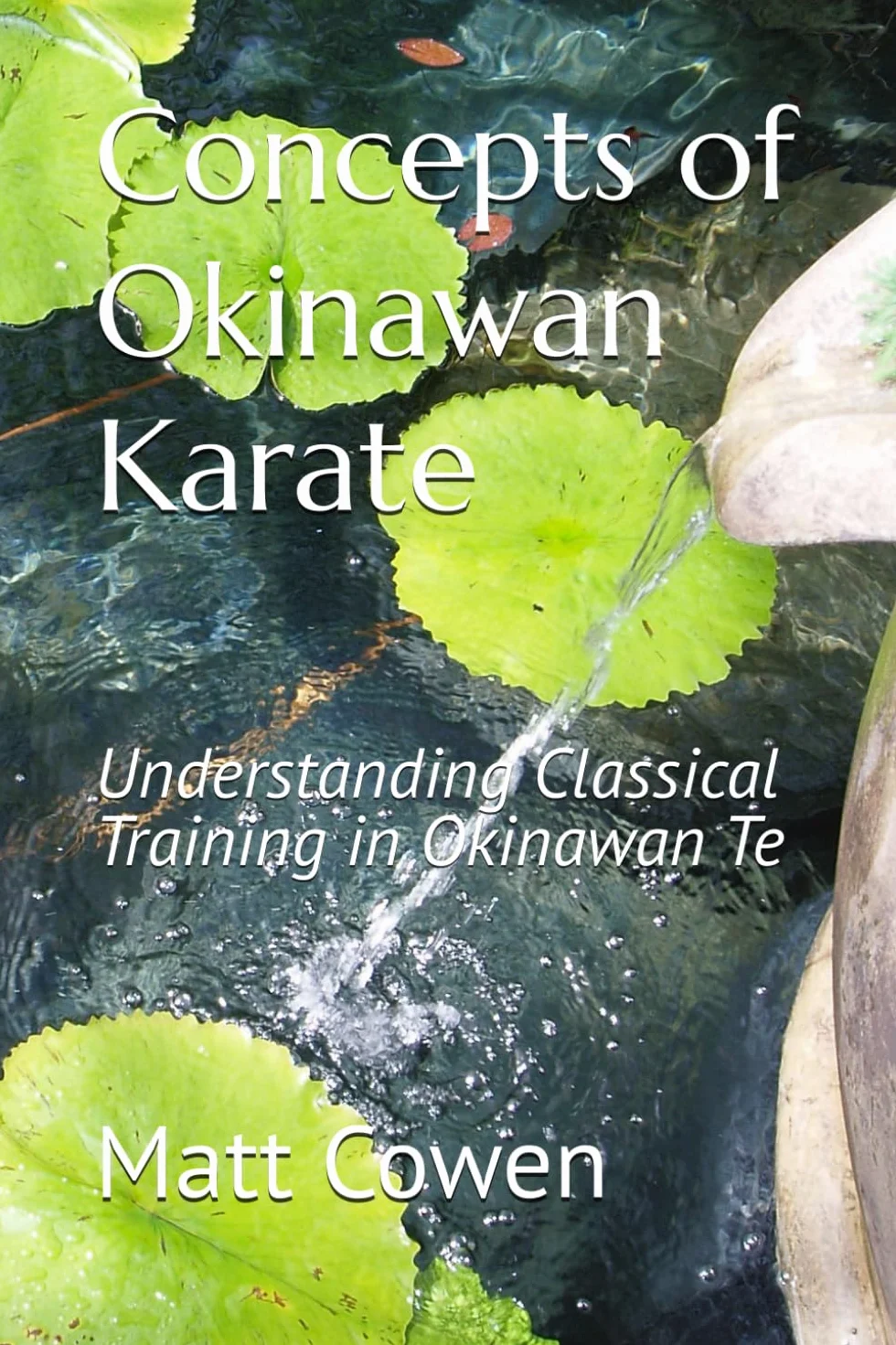 Concepts of Okinawan Karate: Understanding Classical Training in Okinawa Te