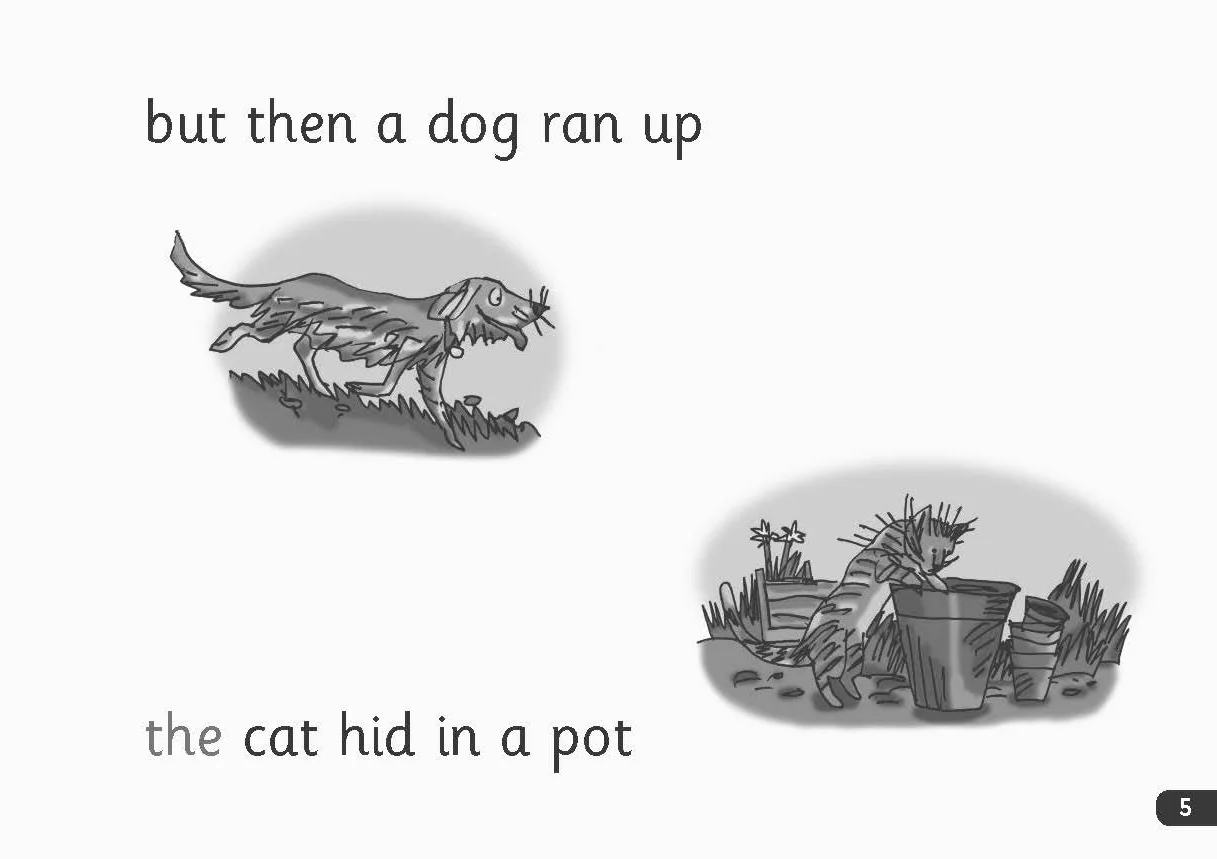 Read Write Inc. Phonics: Red Ditty Black & White Books (Mixed Pack of 10)