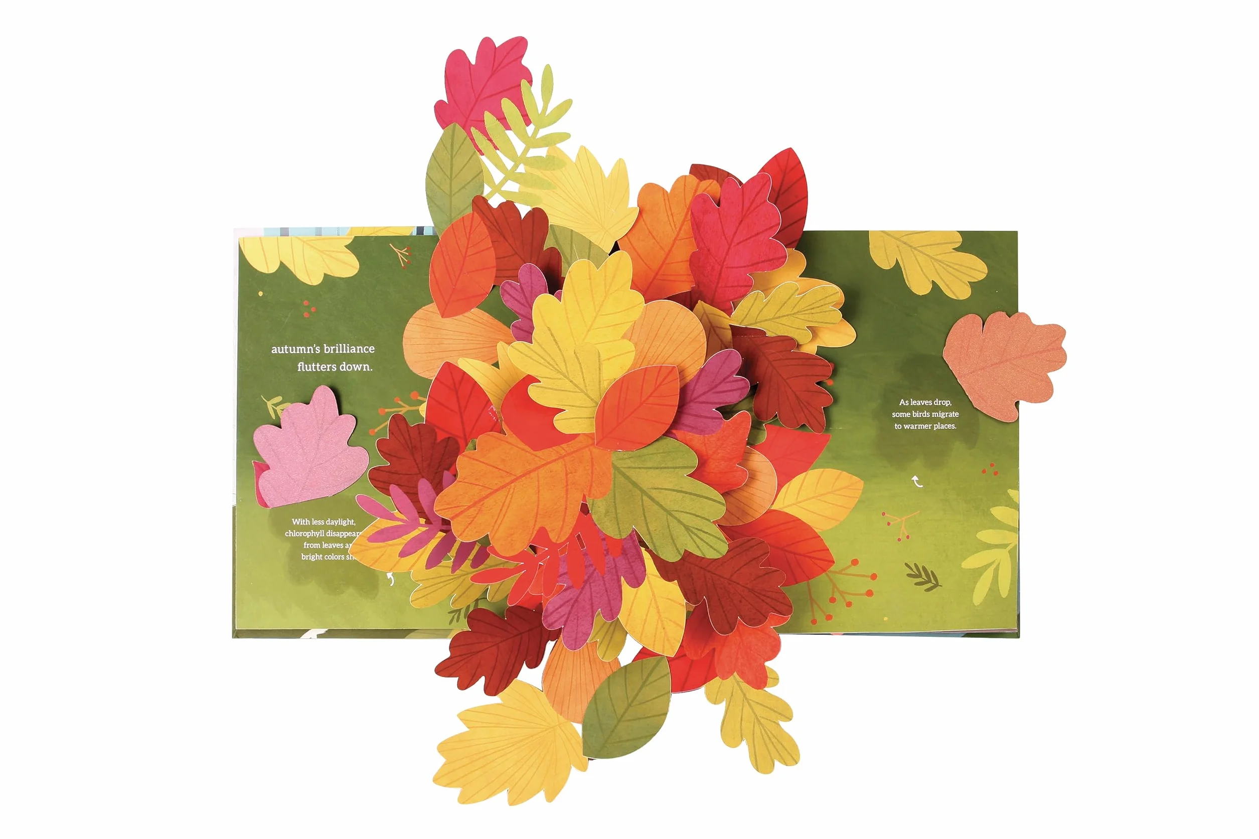 Leaves: An Autumn Pop-Up Book