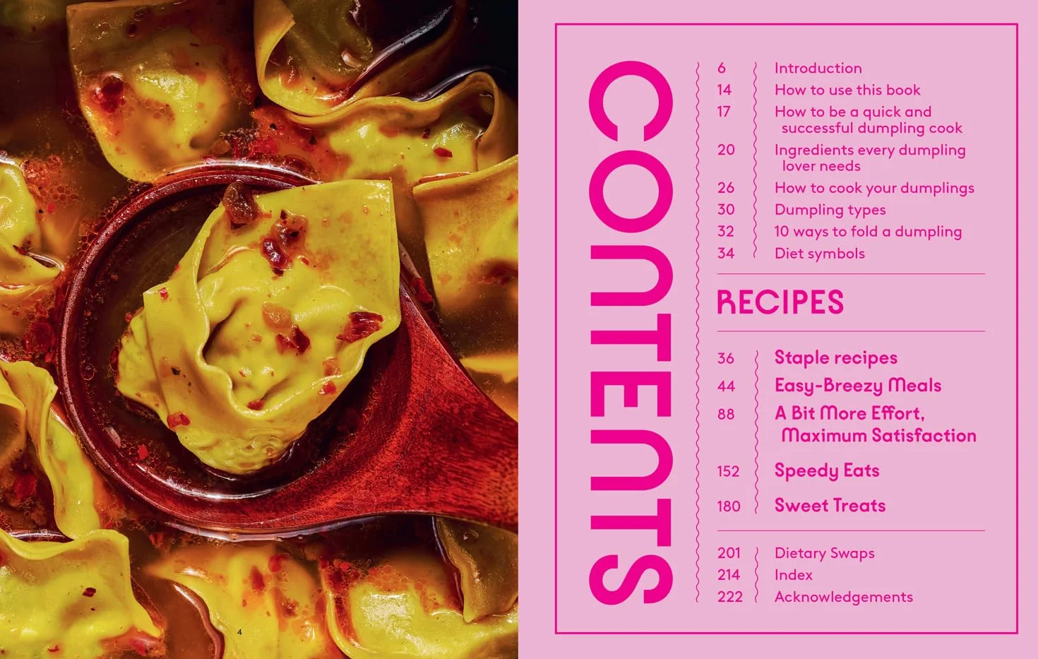 The World Is Your Dumpling: Over 80 Simple Tasty Comforting Recipes Celebrating Dumplings from Around the World Cookbook