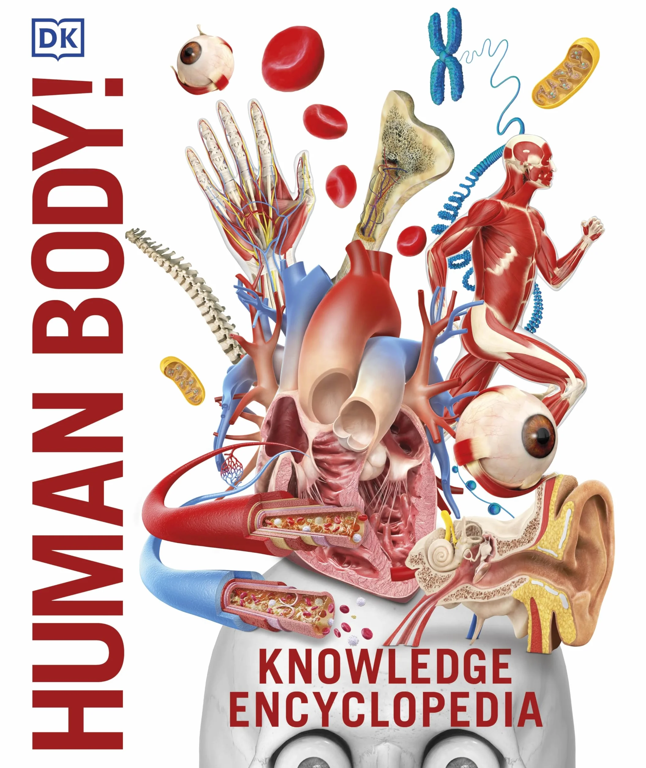 Knowledge Encyclopedia Human Body! (Knowledge Encyclopedias): Human Anatomy as You've Never Seen It Before