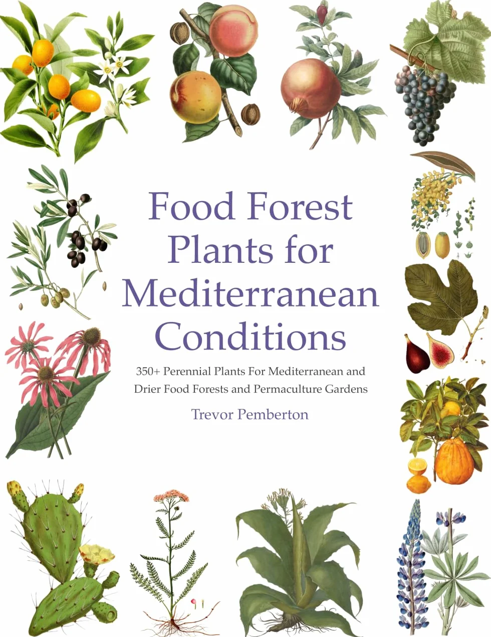 Food Forest Plants for Mediterranean Conditions: 350+ Perennial Plants For Mediterranean and Drier Food Forests and Permaculture Gardens