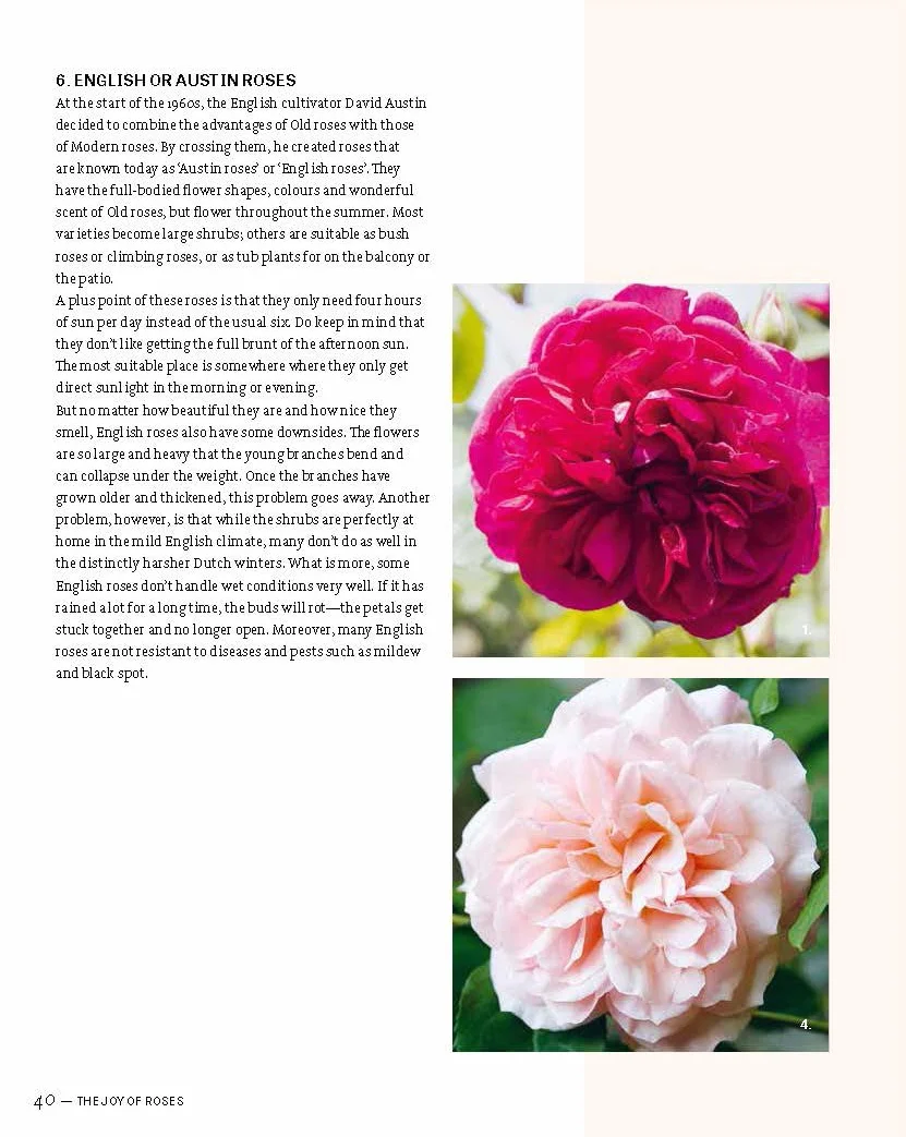 The Joy of Roses /anglais