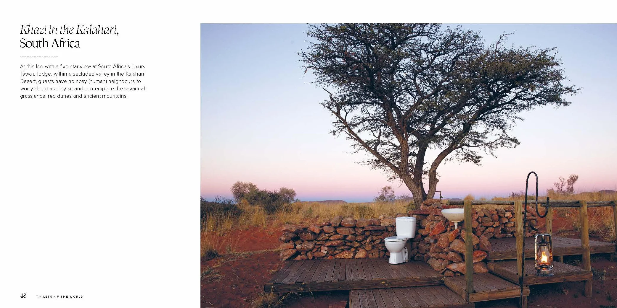 Toilets of the World 2ed: 100 Strange and Spectacular Thrones, Commodes, Loos and Latrines