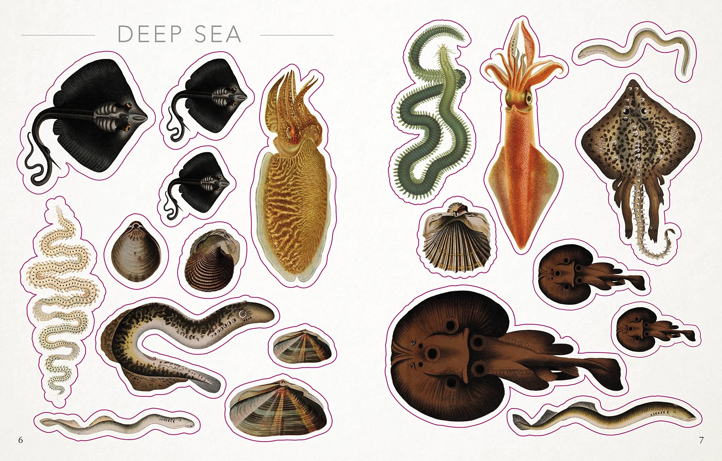 The Seashore Sticker Anthology: 1,000+ Vintage Stickers
