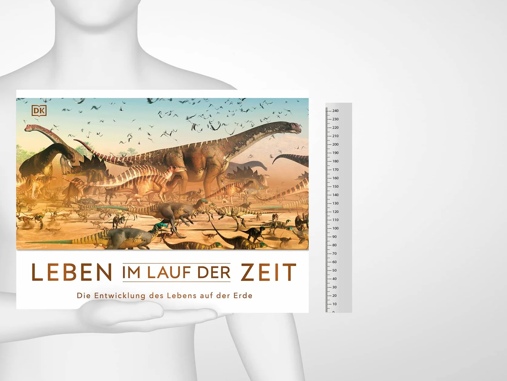 Leben im Lauf der Zeit: Die Entwicklung des Lebens auf der Erde