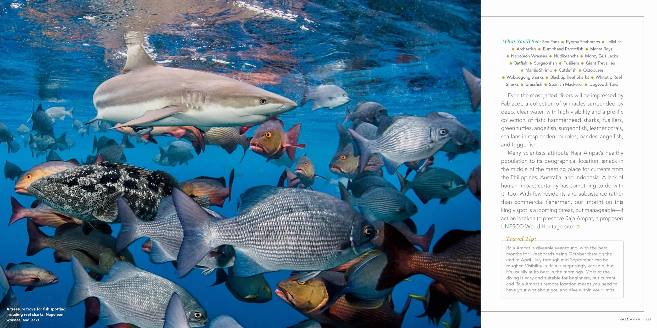 100 Dives of a Lifetime: The World's Ultimate Underwater Destinations