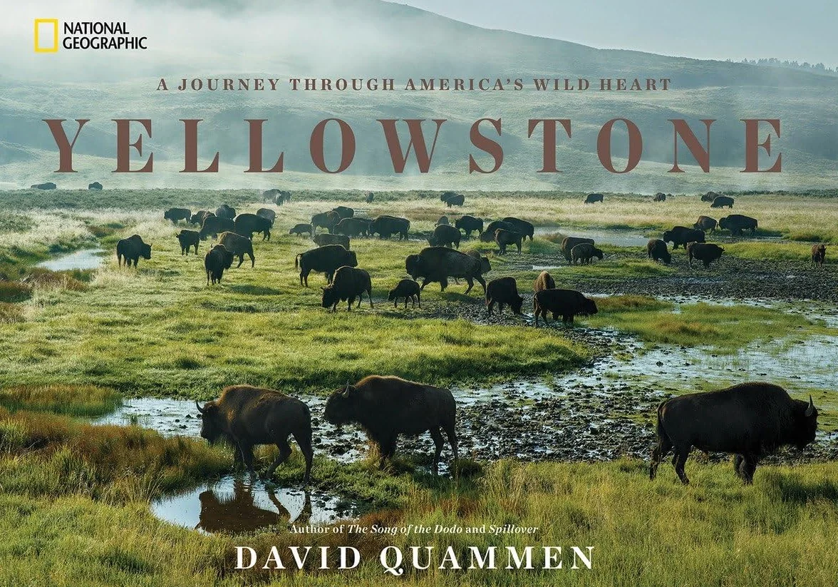 Yellowstone: A Journey Through America's Wild Heart
