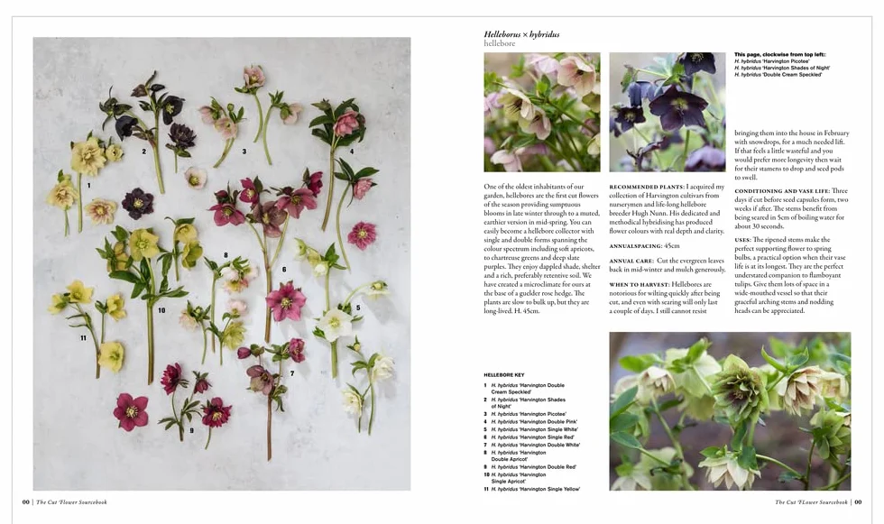 The Cut Flower Sourcebook: Exceptional Perennials and Woody Plants for Cutting