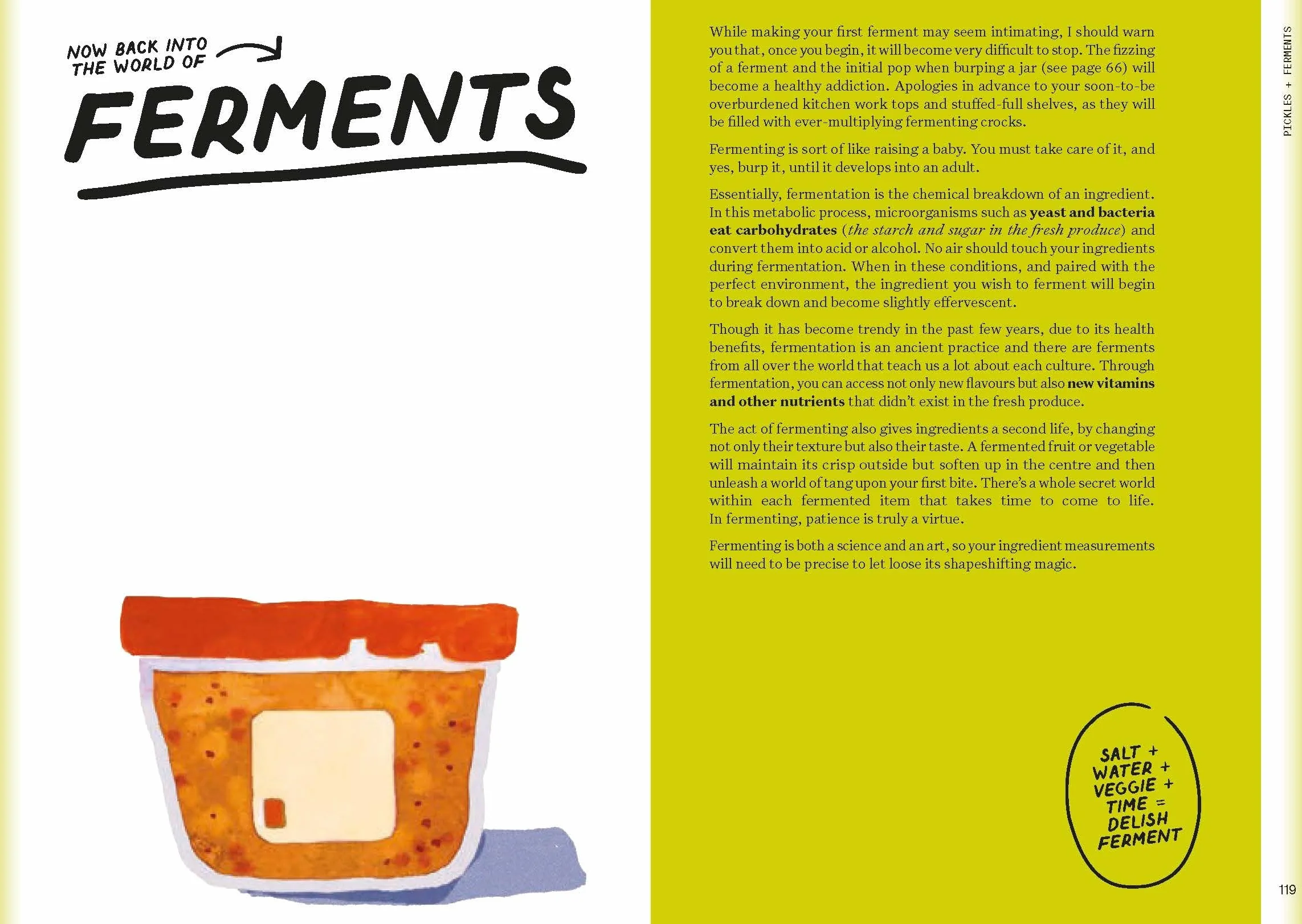 The Condiment Book: A Brilliantly Flavourful Guide to Food's Unsung Heroes