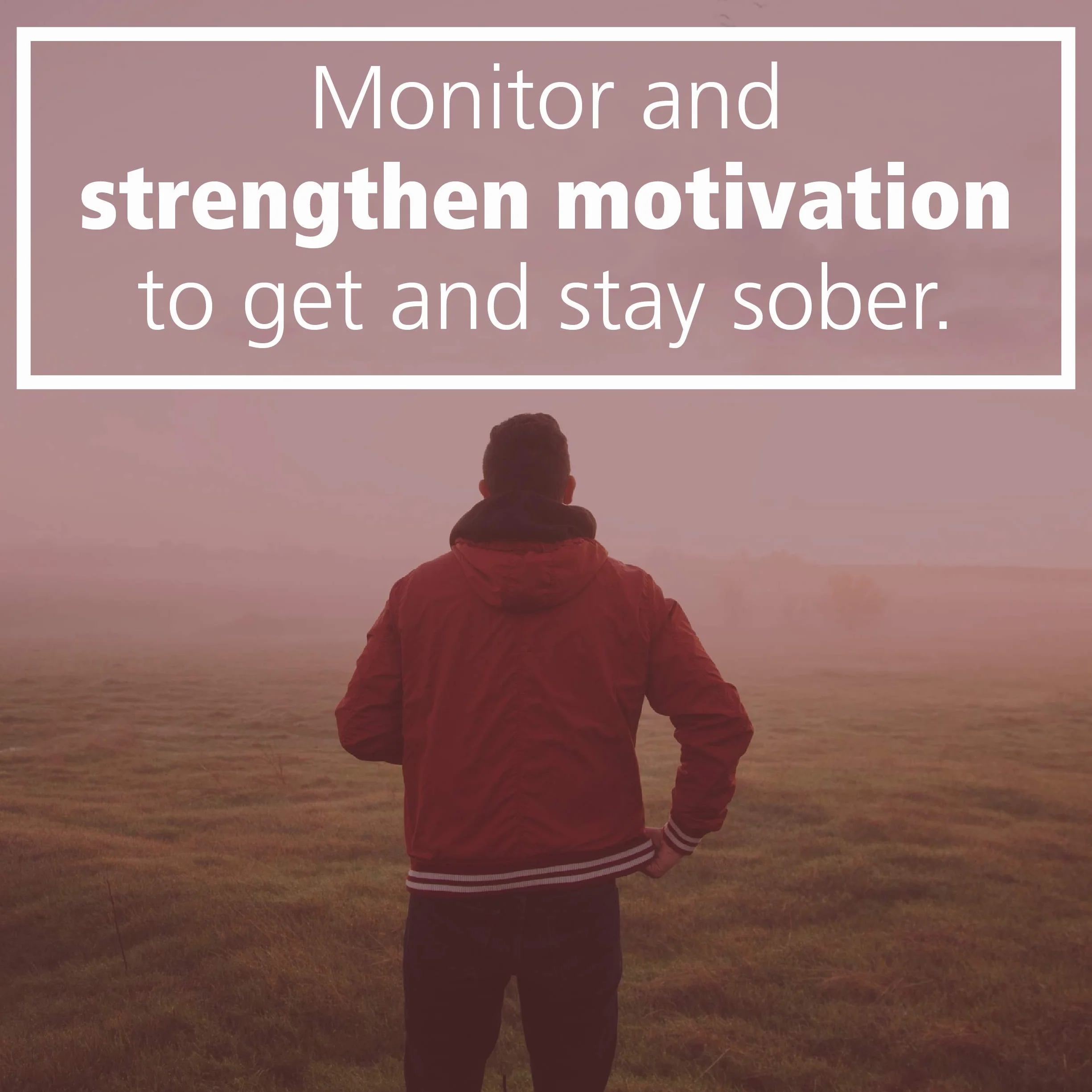 The Addiction Recovery Skills Workbook: Changing Addictive Behaviors Using Cbt, Mindfulness, and Motivational Interviewing Techniques