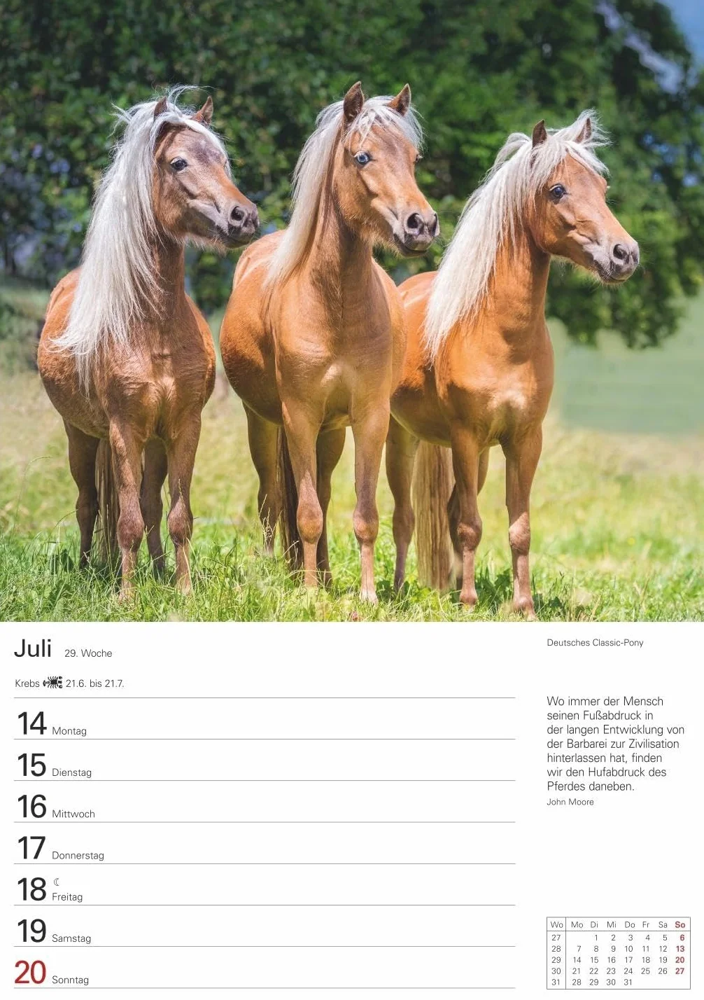 Pferde Wochenplaner 2025 - 53 Blatt mit Zitaten und Wochenchronik: Wochenkalendarium, Zitate und Pferdefotos in einem praktischen Termin-Kalender. ... Fotokalender mit Raum für Notizen