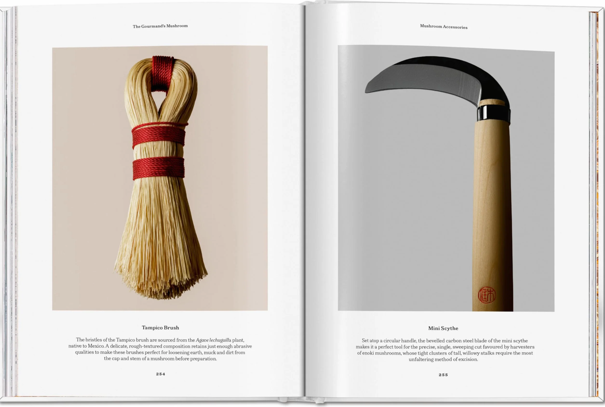 The Gourmand's Mushroom: A Collection of Stories & Recipes