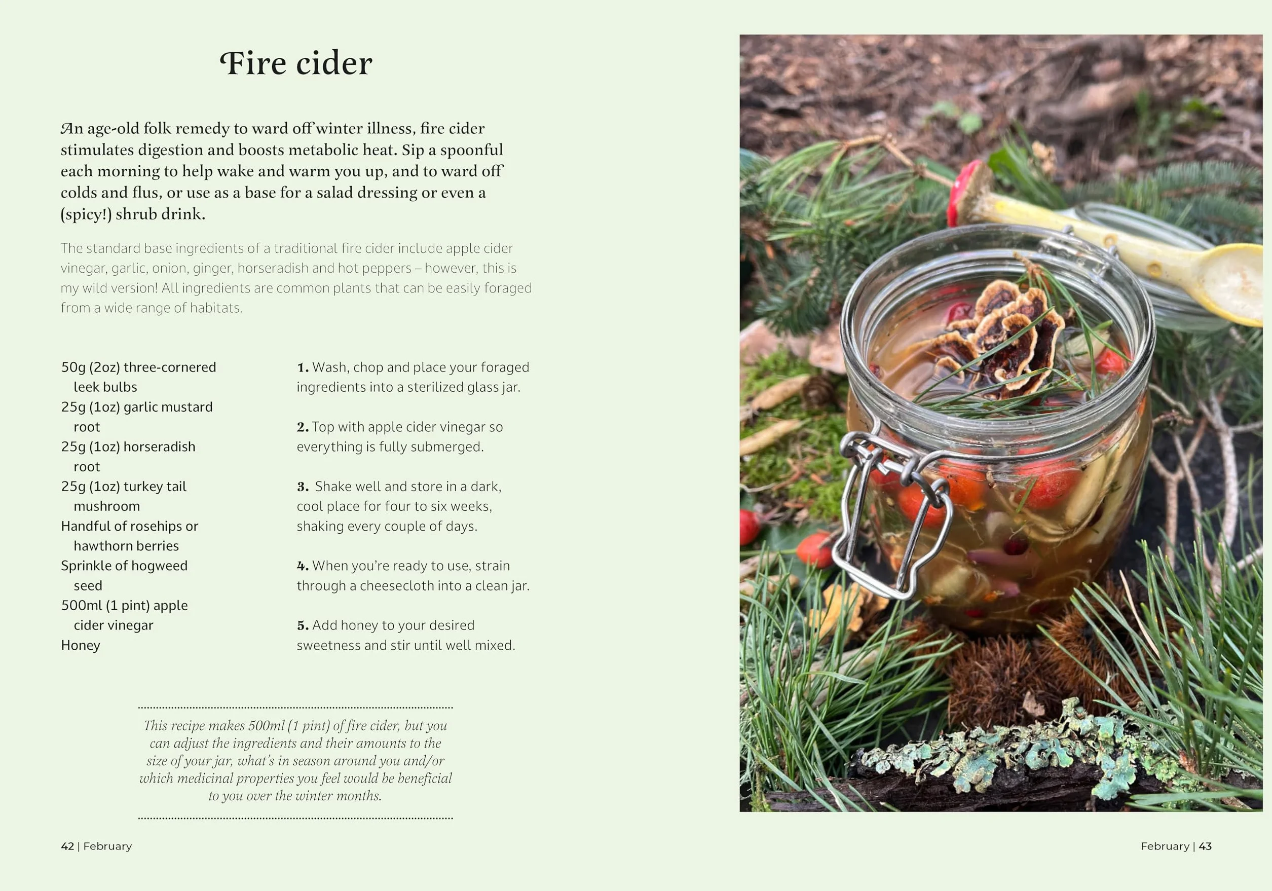 The Forager's Almanac: A Year of Sustainable Gathering, Growing, Recipes and Wildcraft