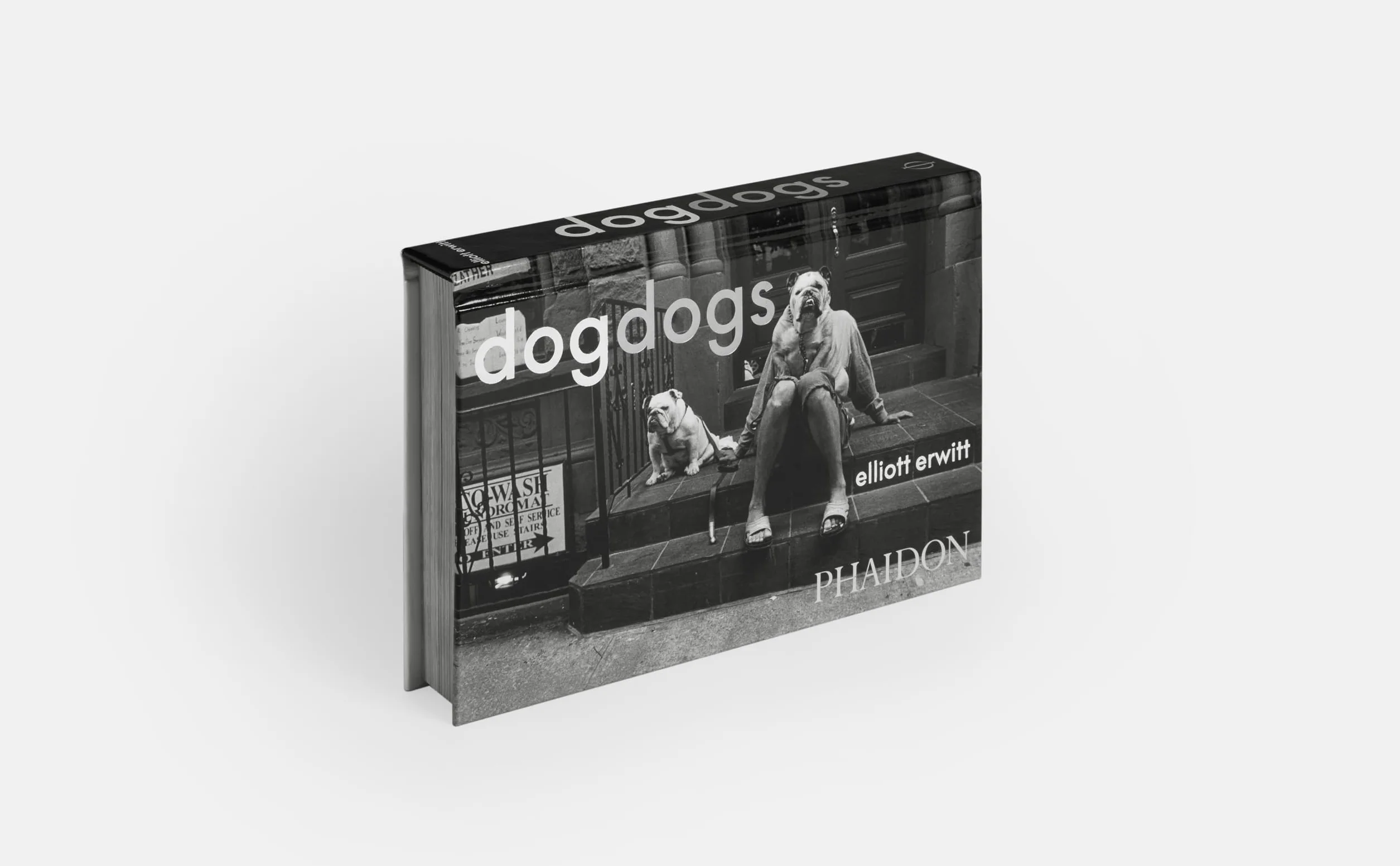 DogDogs