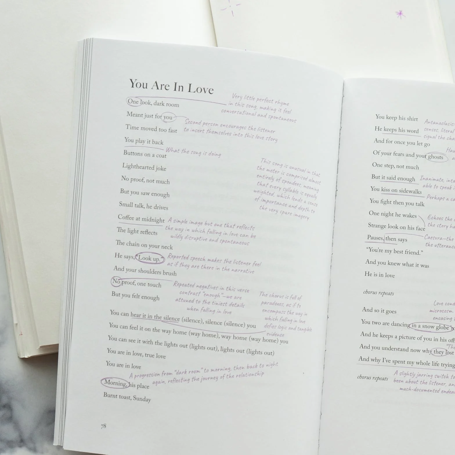 Stars Around My Scars: The Annotated Poetry of Taylor Swift