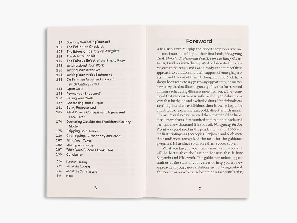 The Artist's Roadmap: Practical Strategies for a Career in Art /anglais