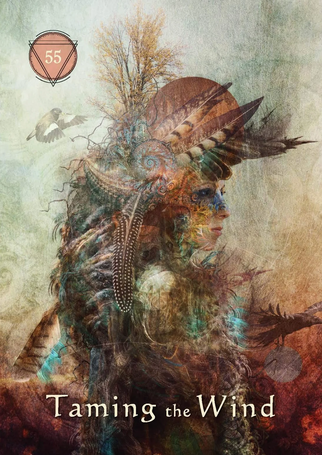 Mystical Shaman Oracle: 64-Card Deck and Guidebook