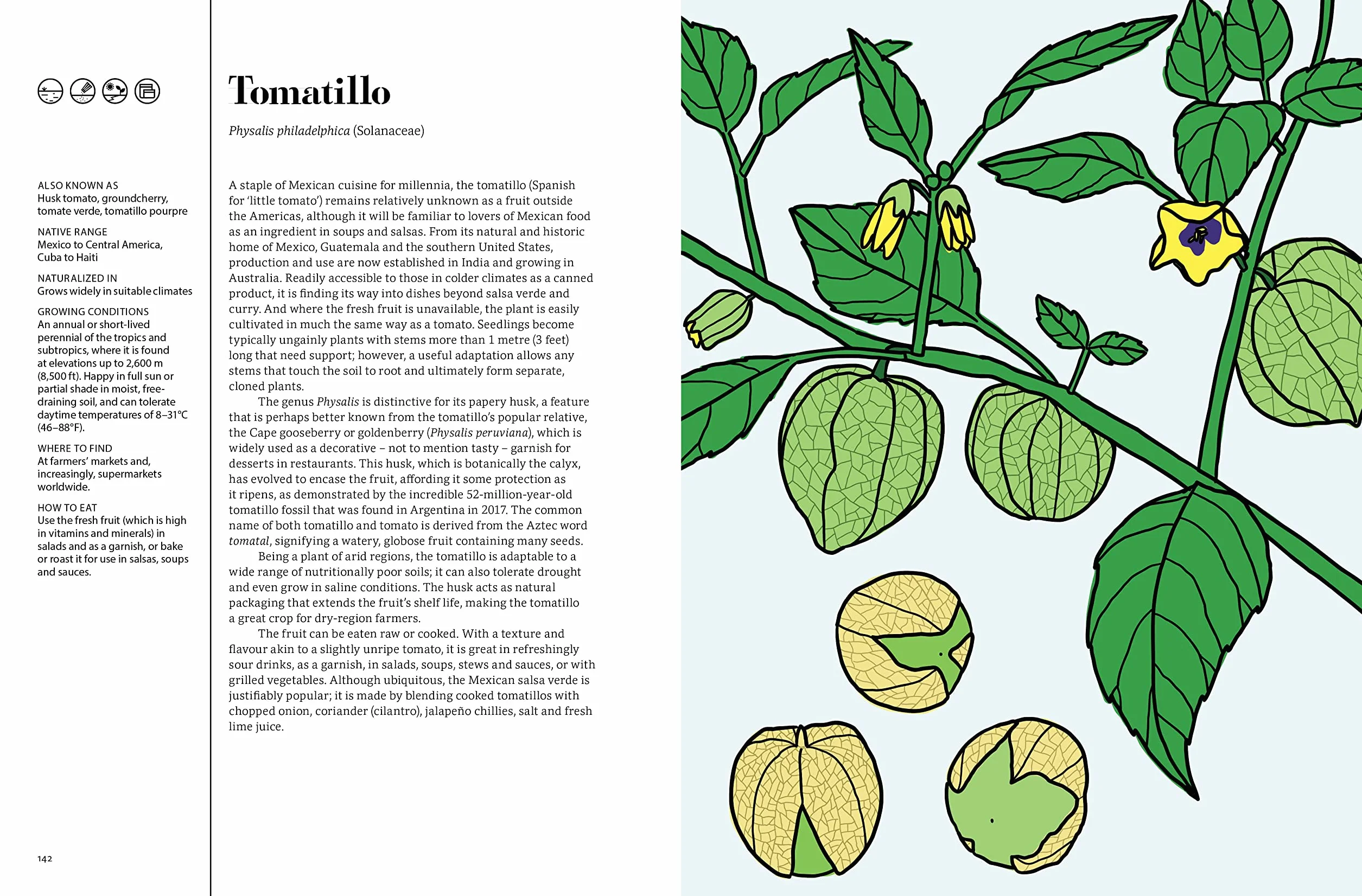 Edible : 70 Sustainable Plants That Are Changing How We Eat /anglais