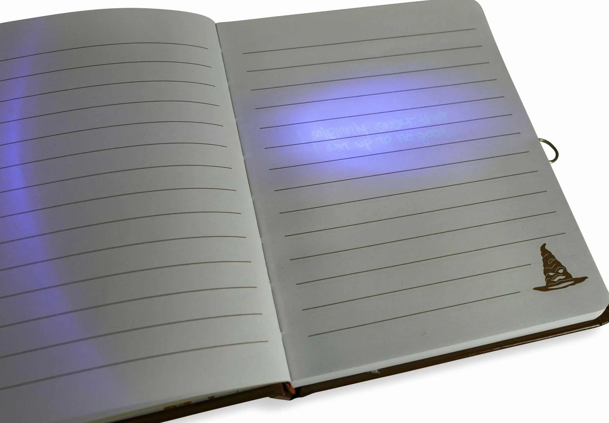 Harry Potter: Hogwarts Lock & Key Diary: Lock & Key Diary with Invisible Ink Pen