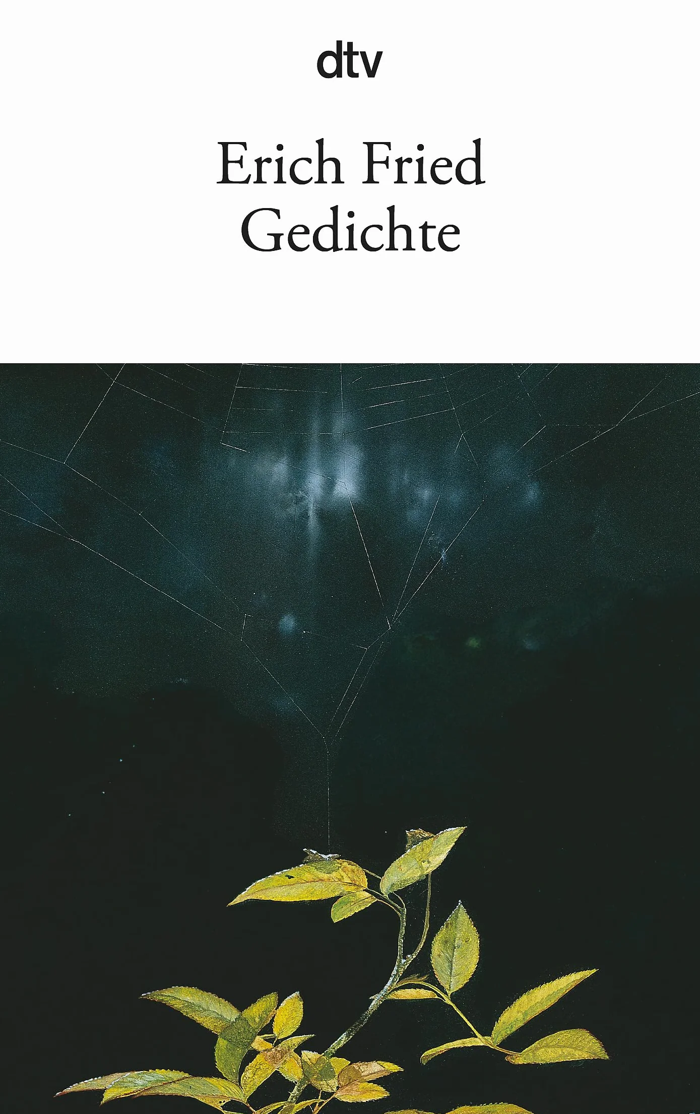 Gedichte 12256