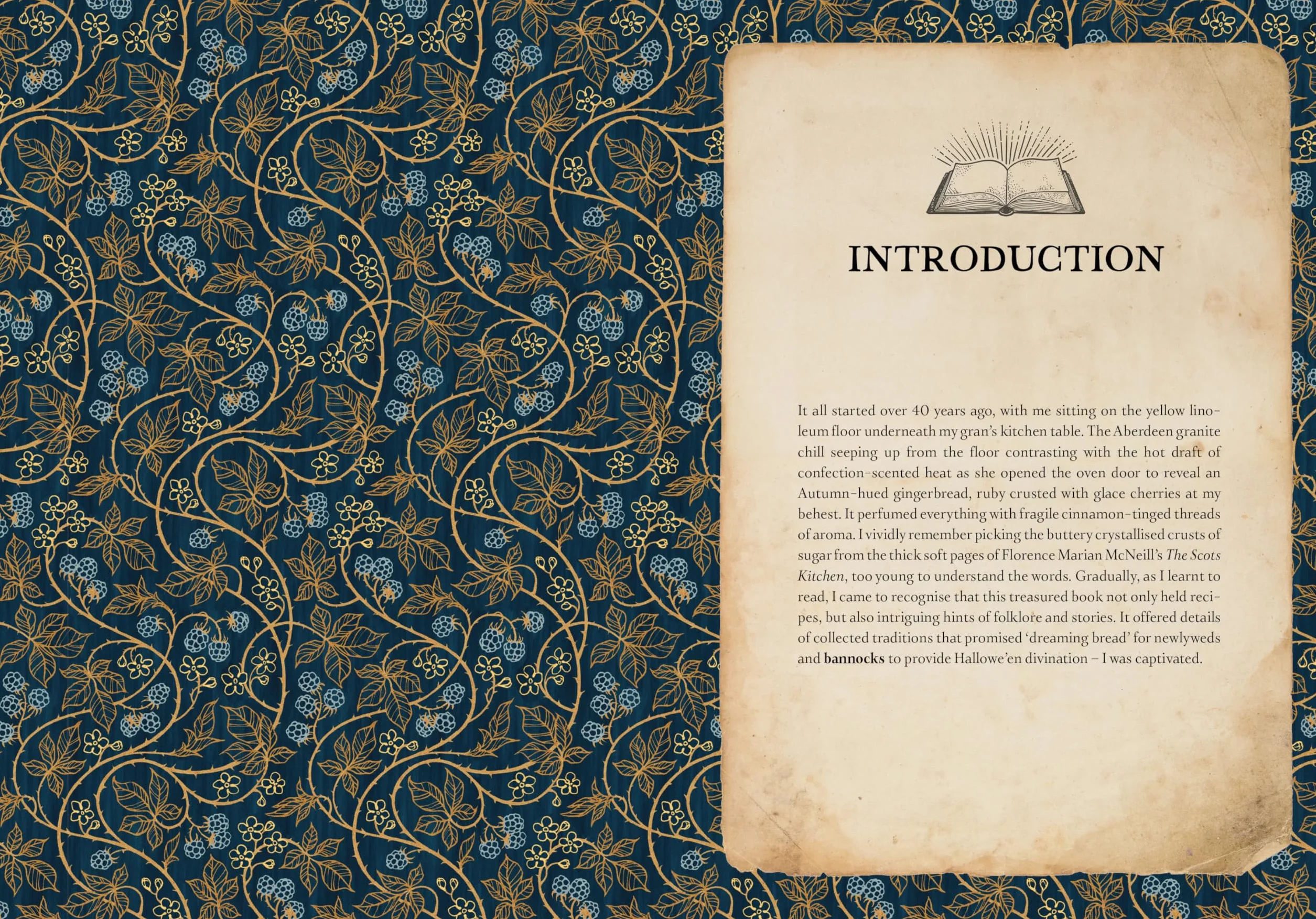 The Time Traveller's Herbal: Stories and Recipes from the Historical Apothecary Cabinet