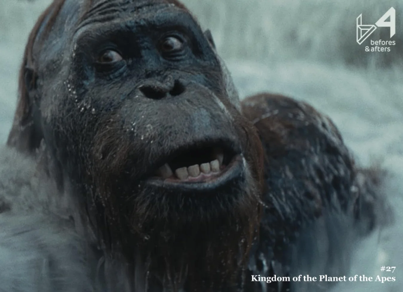 befores & afters - #27 - Kingdom of the Planet of the Apes