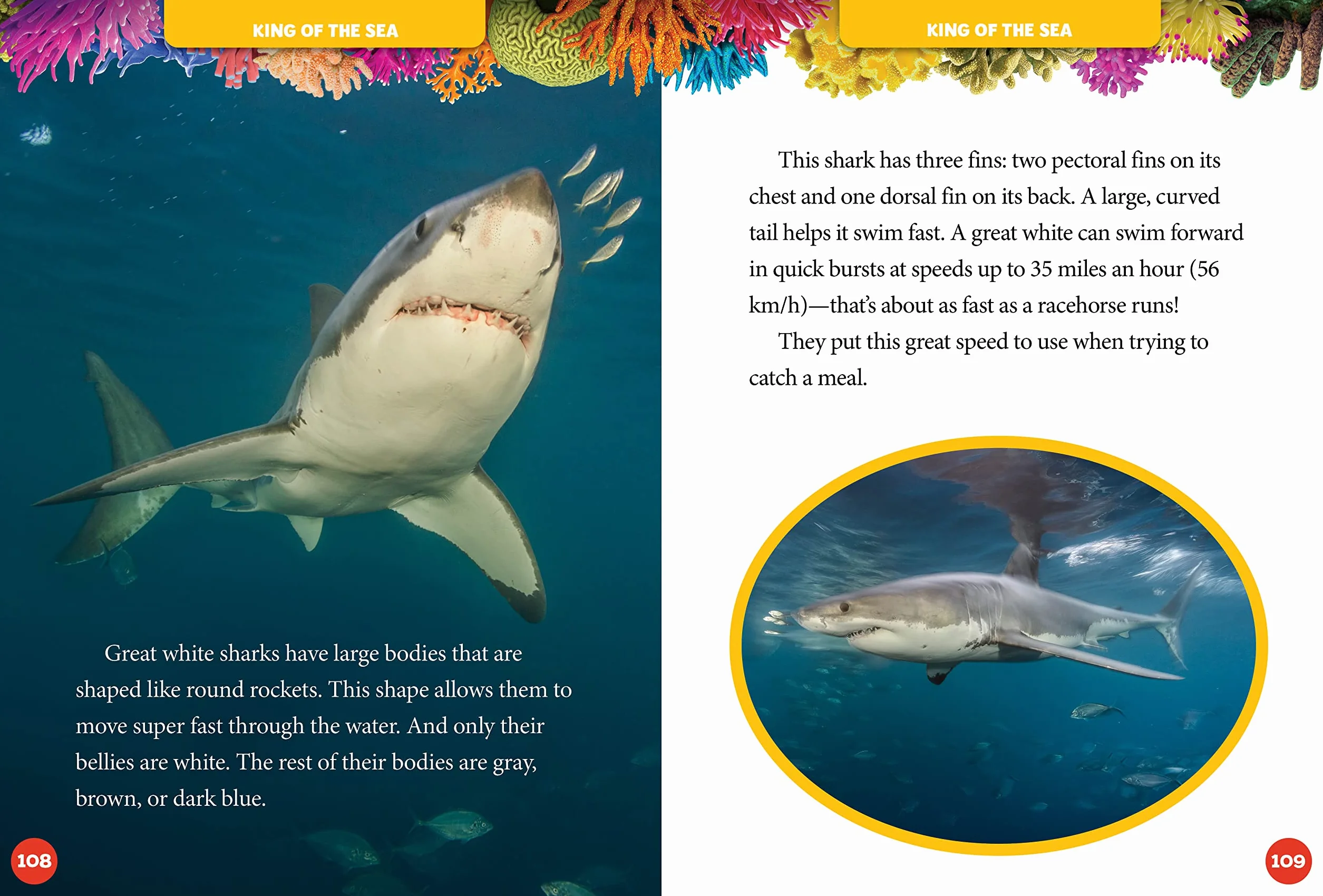 National Geographic Kids 5-Minute Shark Stories