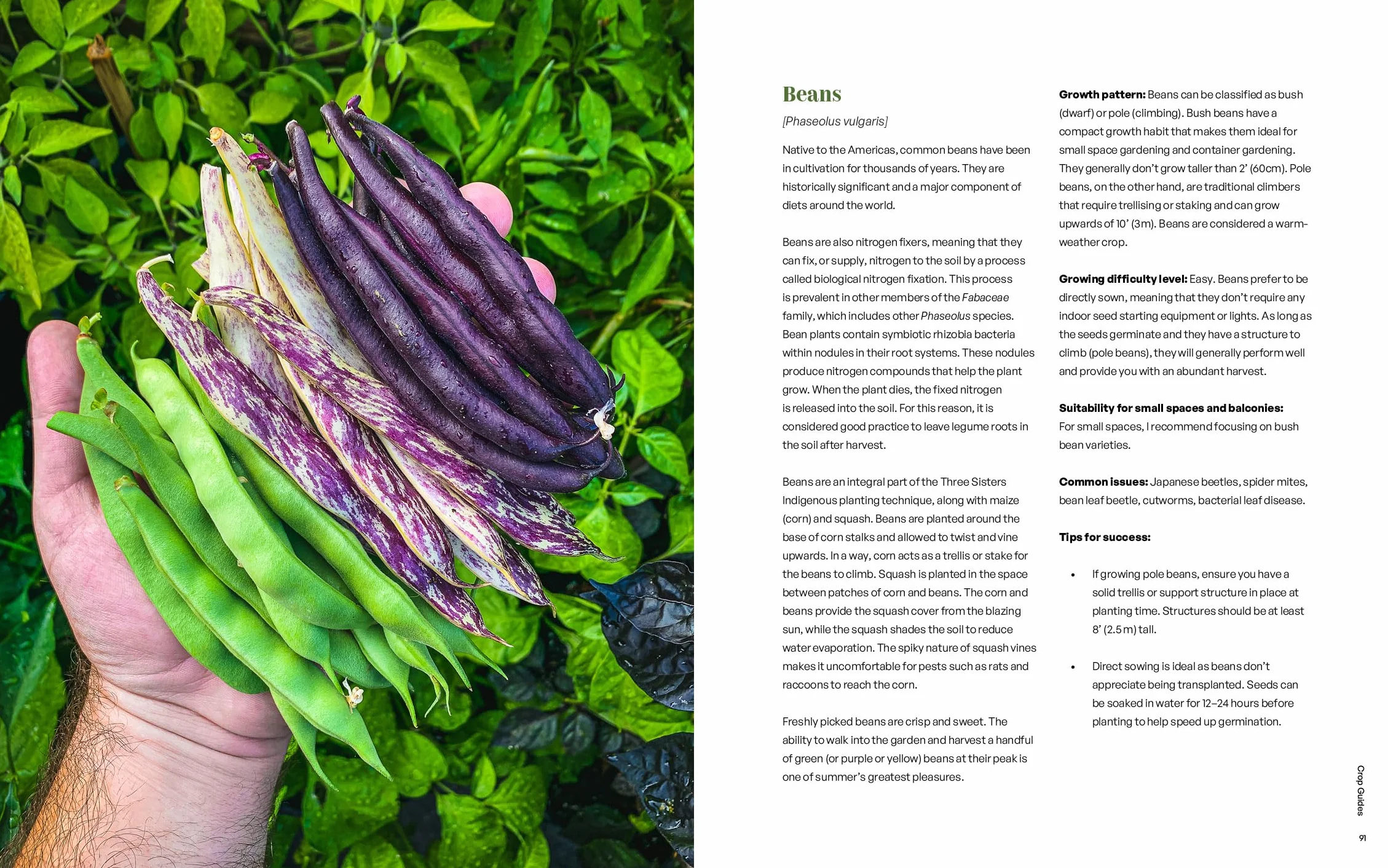Seed to Table: A Seasonal Guide to Organically Growing, Cooking, and Preserving Food at Home (Kitchen Garden, Urban Gardening)