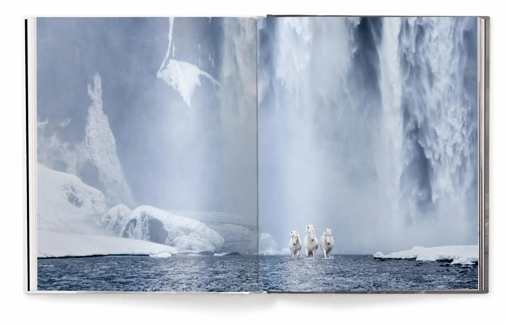 Untamed Spirits: Horses from Around the World