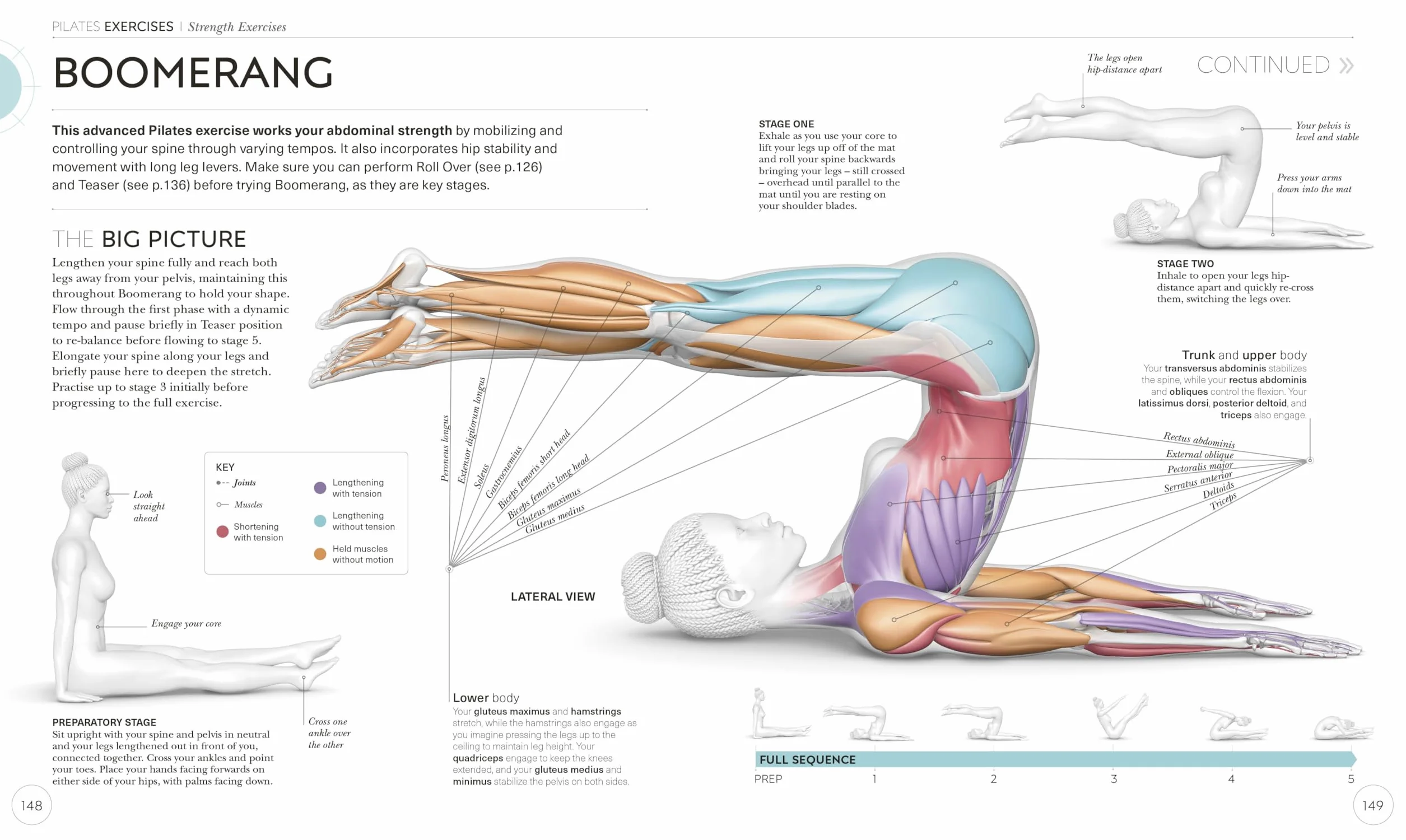 Science of Pilates: Understand the Anatomy and Physiology to Perfect Your Practice