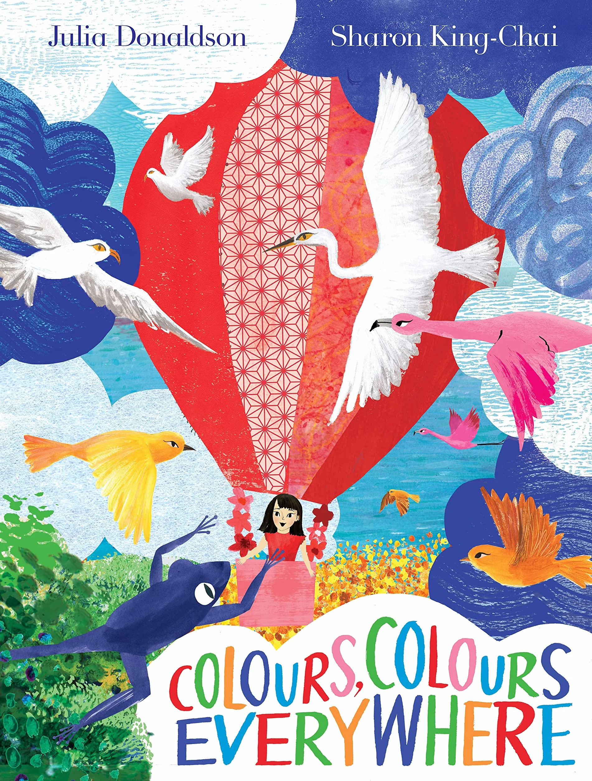 Colours, Colours Everywhere: A lift-the-flap adventure from an award-winning duo