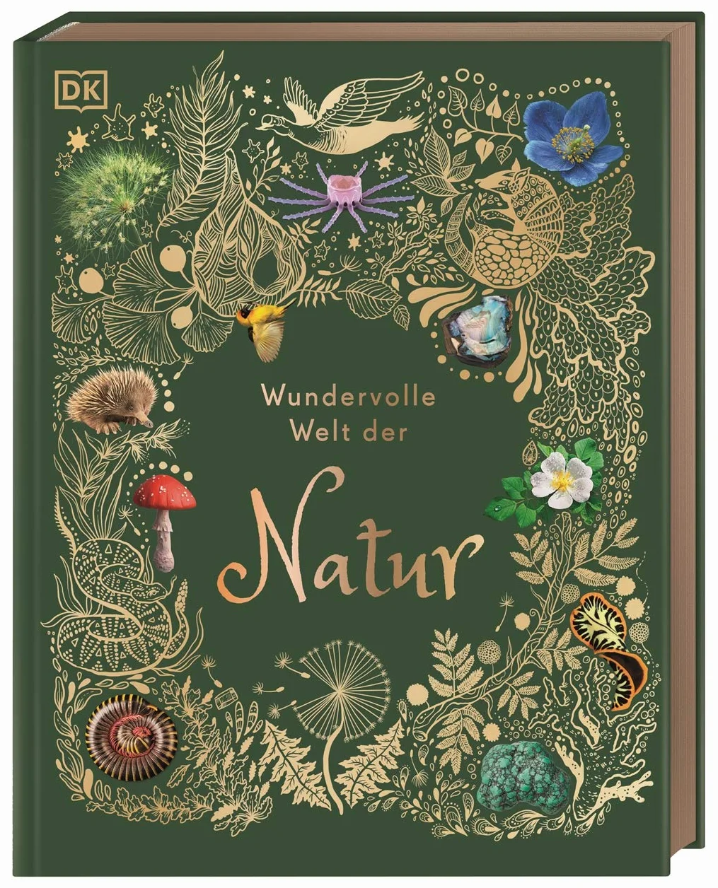 Naturbilderbuch für die ganze Familie mit Lesebändchen, Goldfolie und Goldschnitt