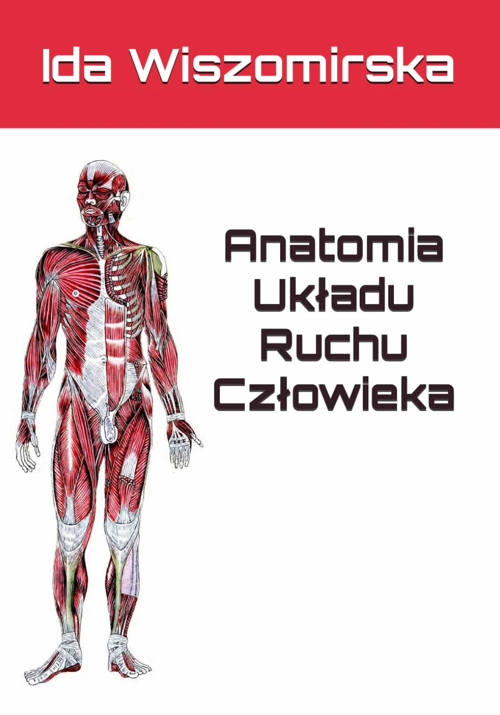 Anatomia Układu Ruchu Człowieka