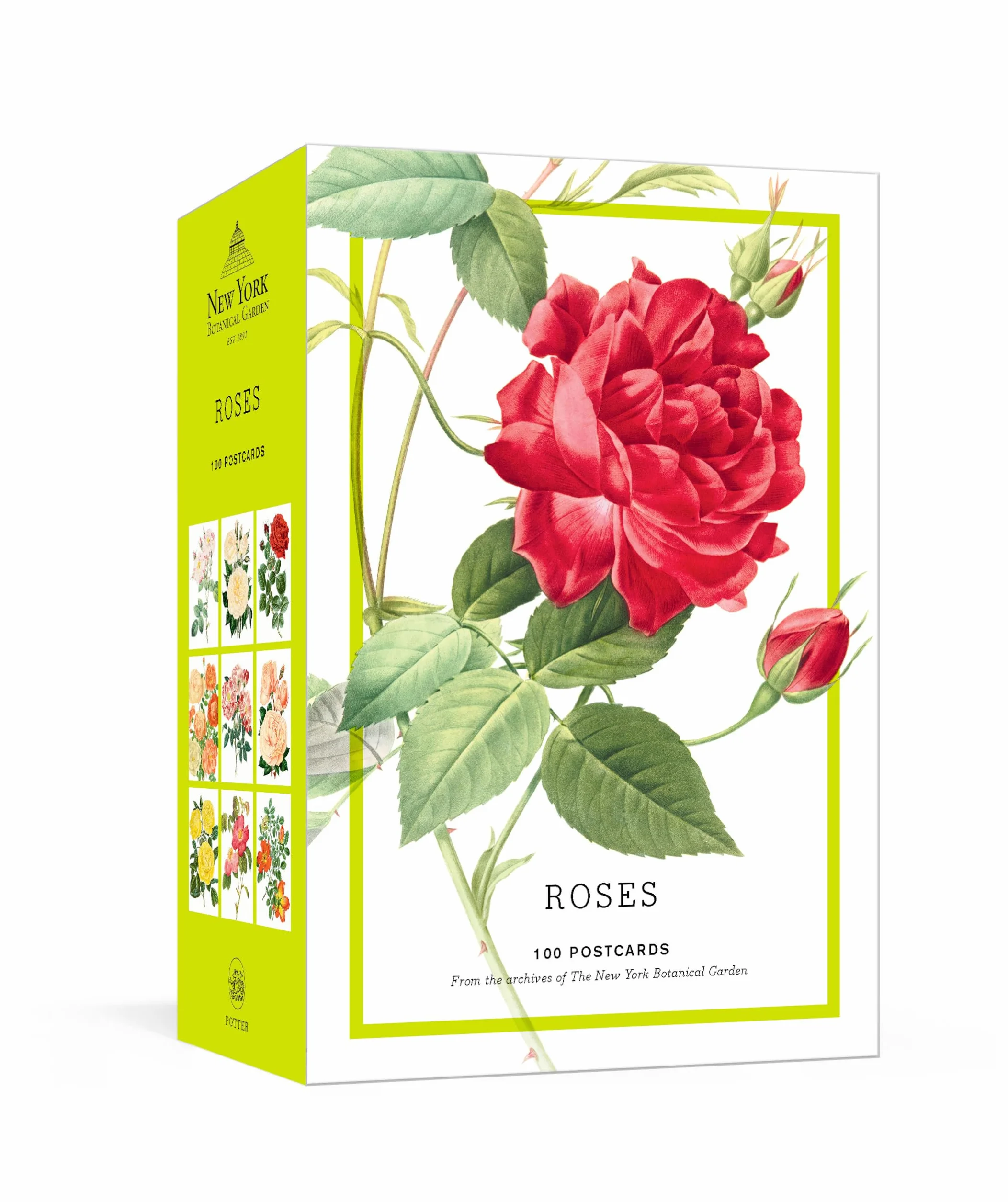 Roses: 100 Postcards from the Archives of The New York Botanical Garden
