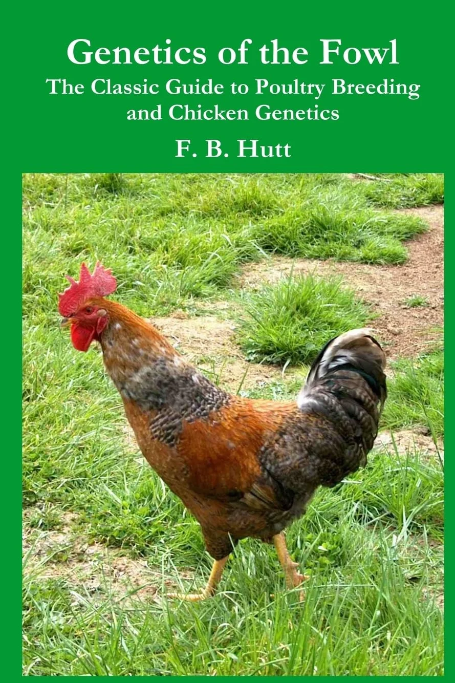 Genetics of the Fowl: The Classic Guide to Poultry Breeding and Chicken Genetics: 3