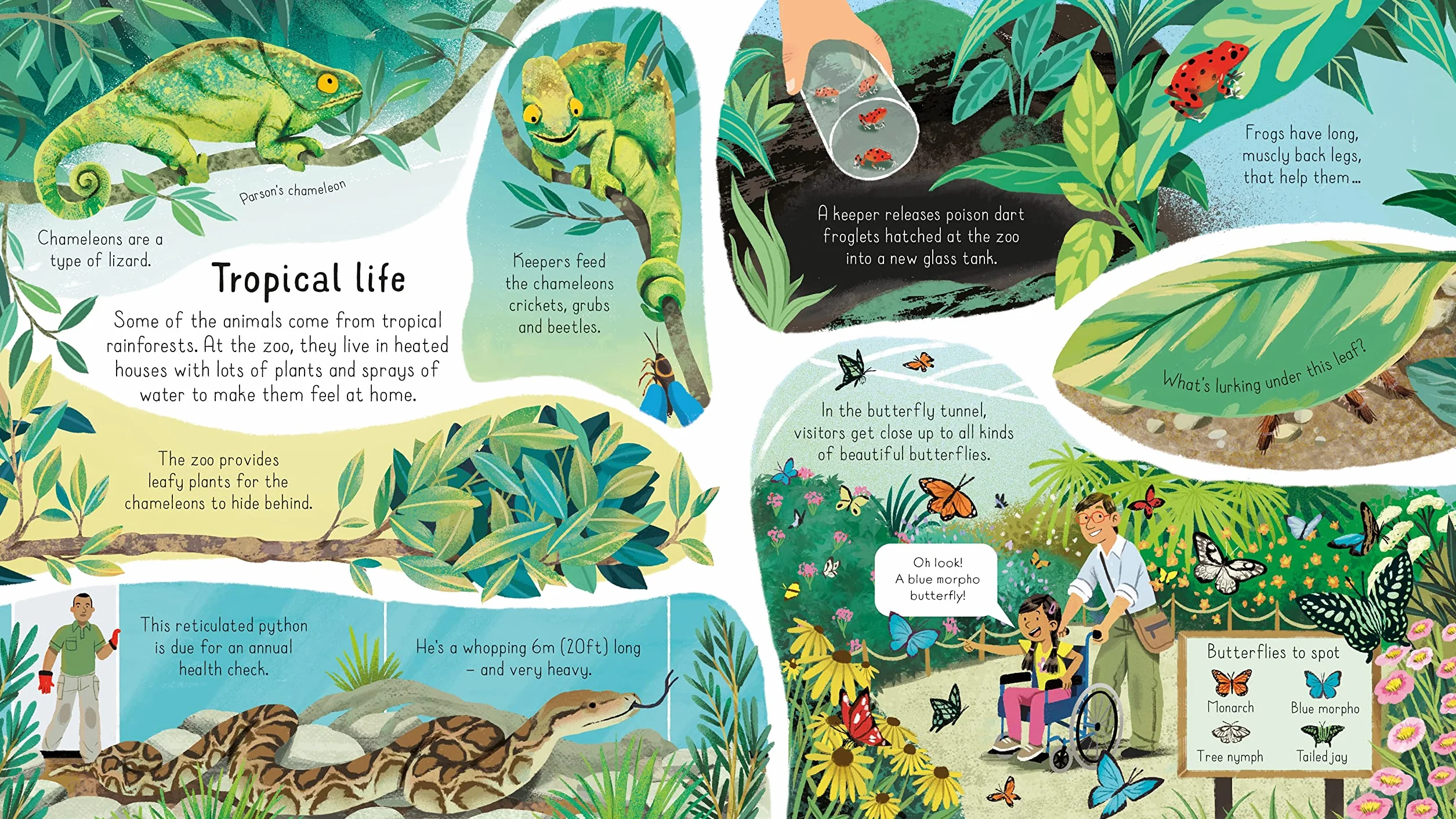 Look Inside a Zoo