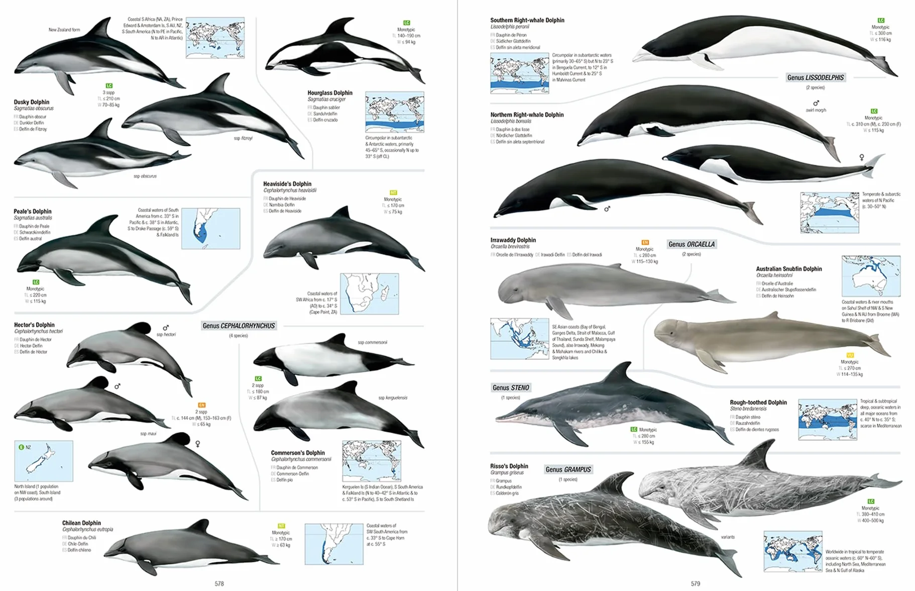 All the Mammals of the World