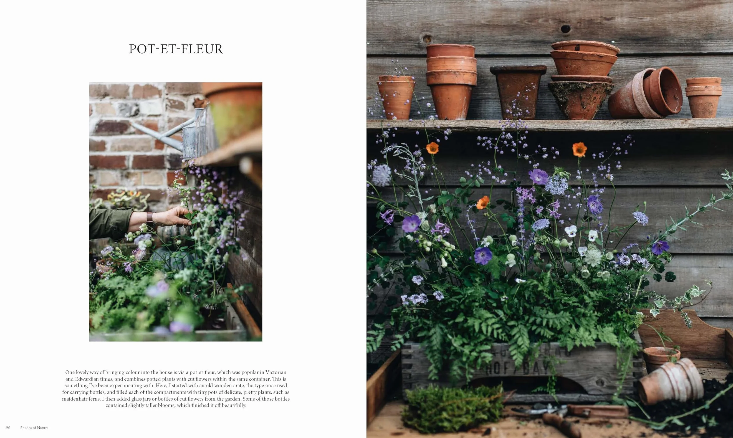 The Nature of Decorating: Interiors Inspired by the Natural World