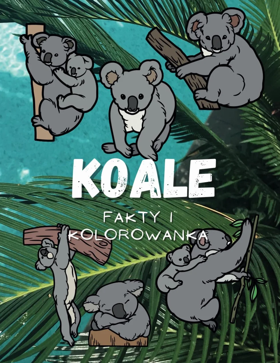 Koale: fakty i kolorowanka dla dzieci 2-16 lat
