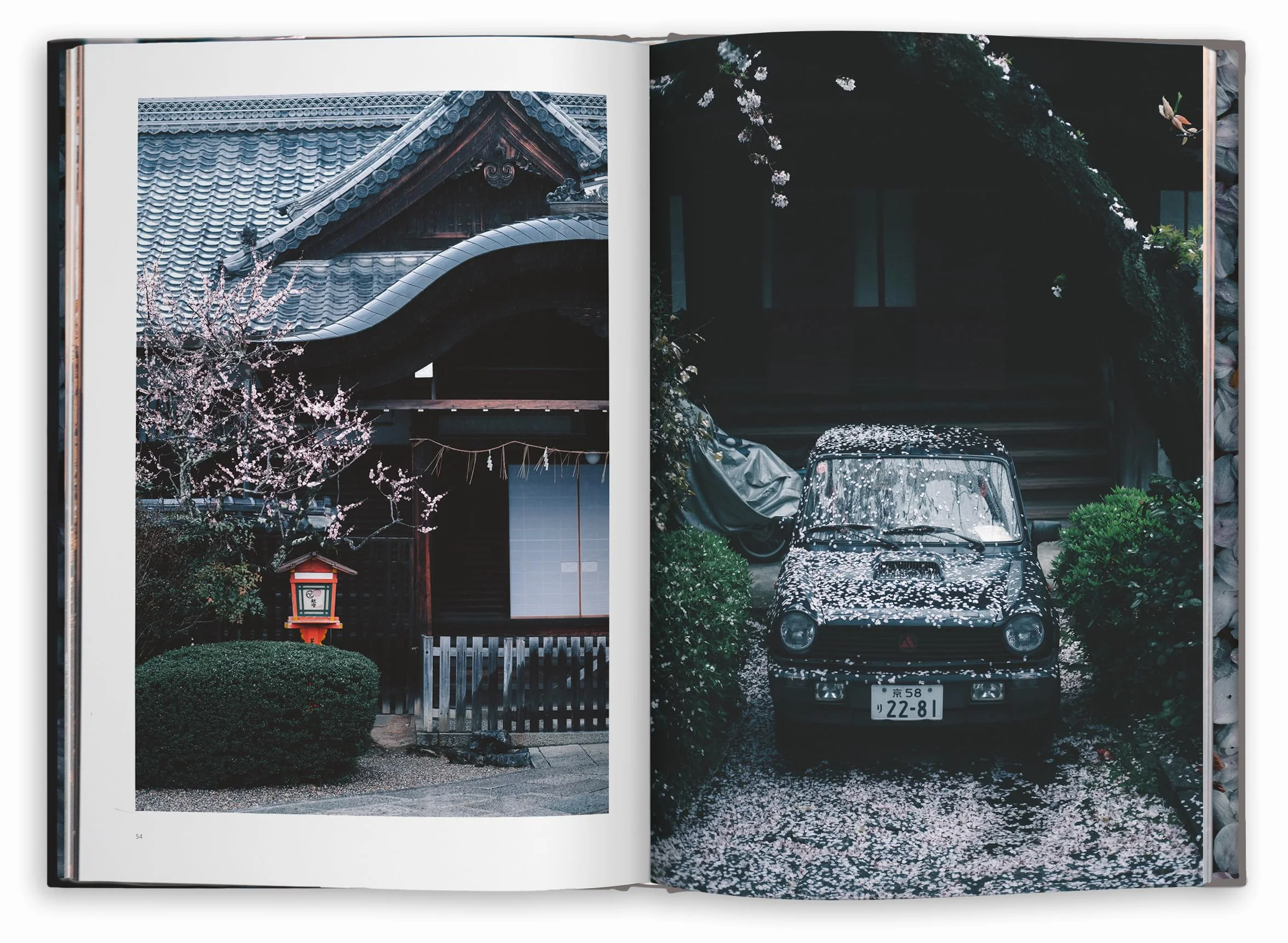 Kyoto Dreaming