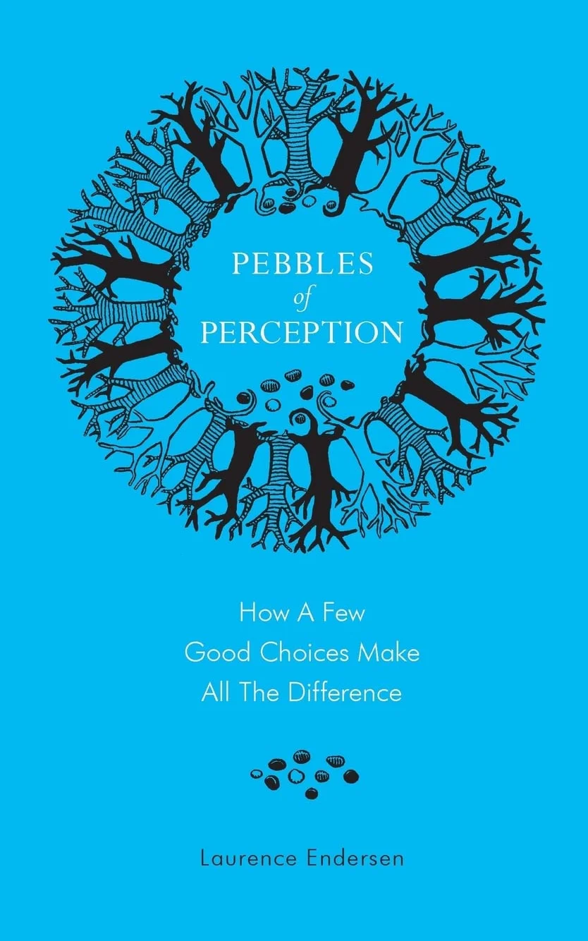 Pebbles of Perception: How a Few Good Choices Make All the Difference