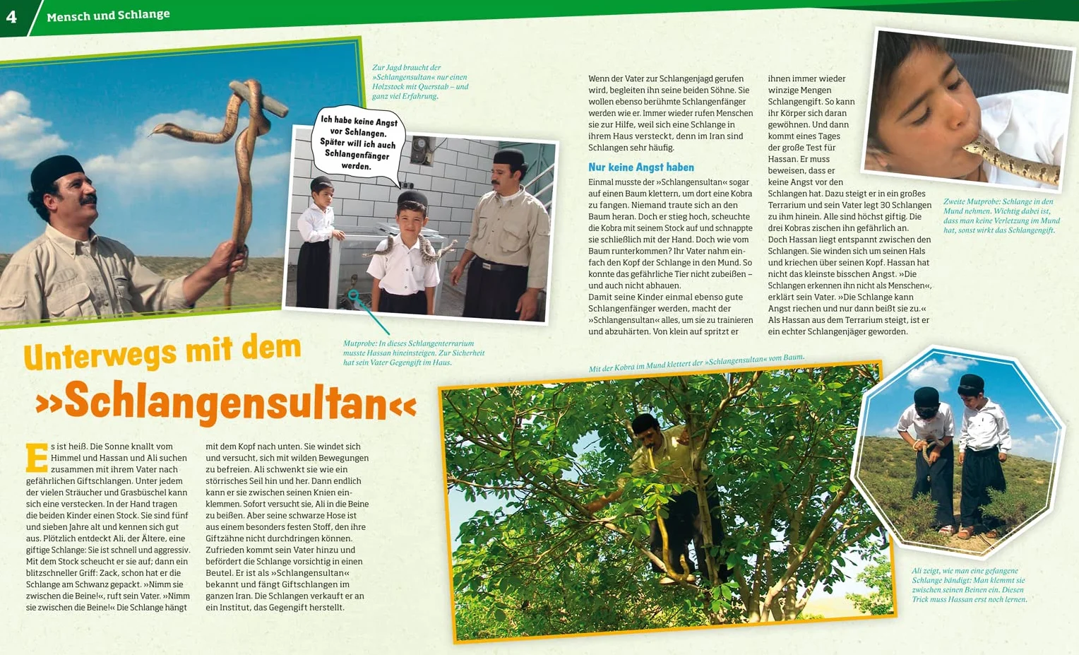 WAS IST WAS Band 121 Schlangen Jäger mit dem sechsten Sinn
