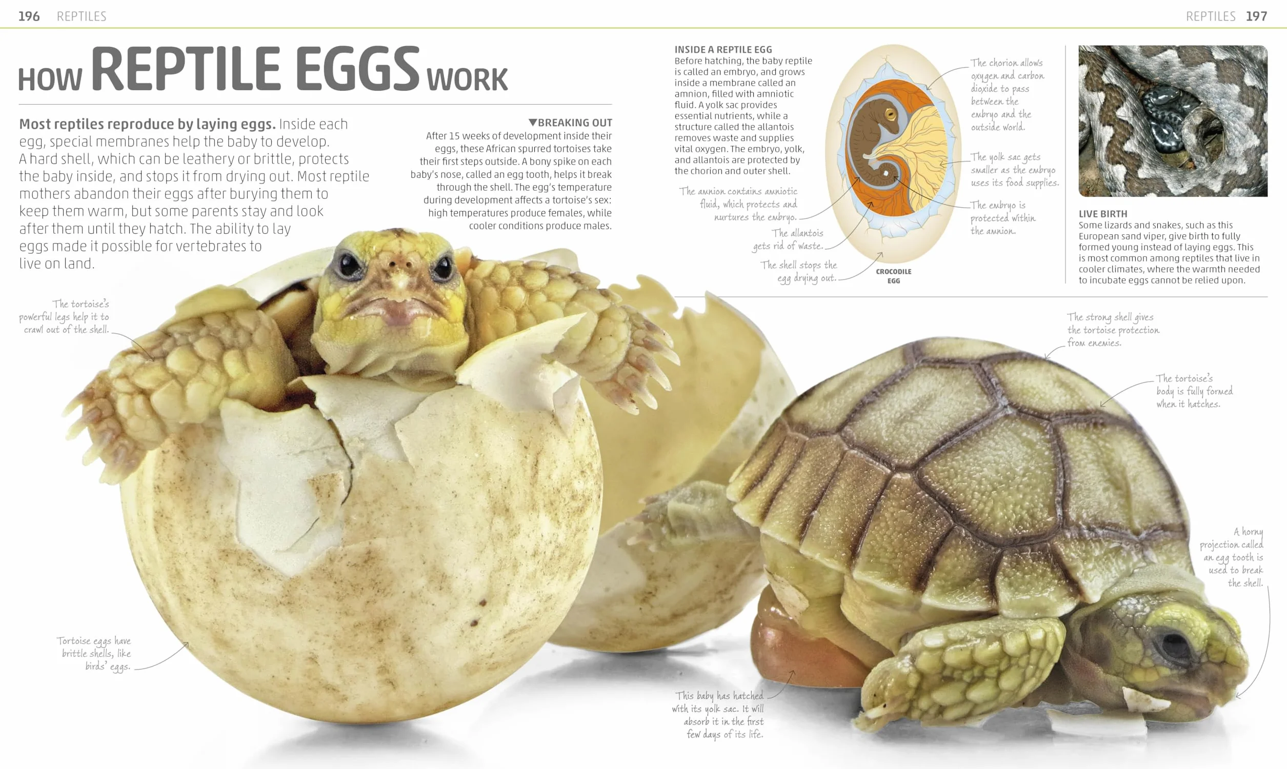 Explanatorium of Nature: Where the Wonders of the World are Revealed
