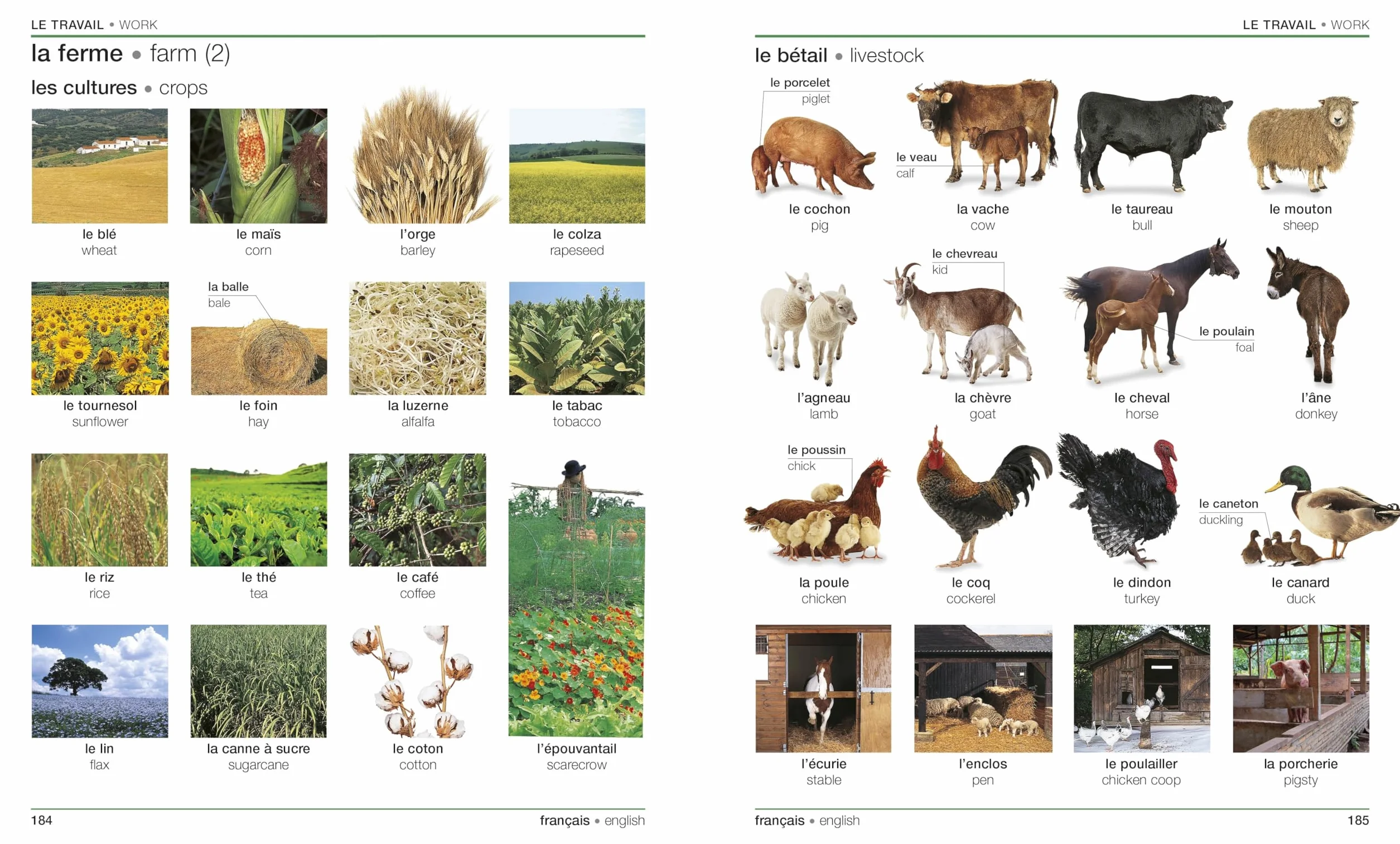 French English Bilingual Visual Dictionary