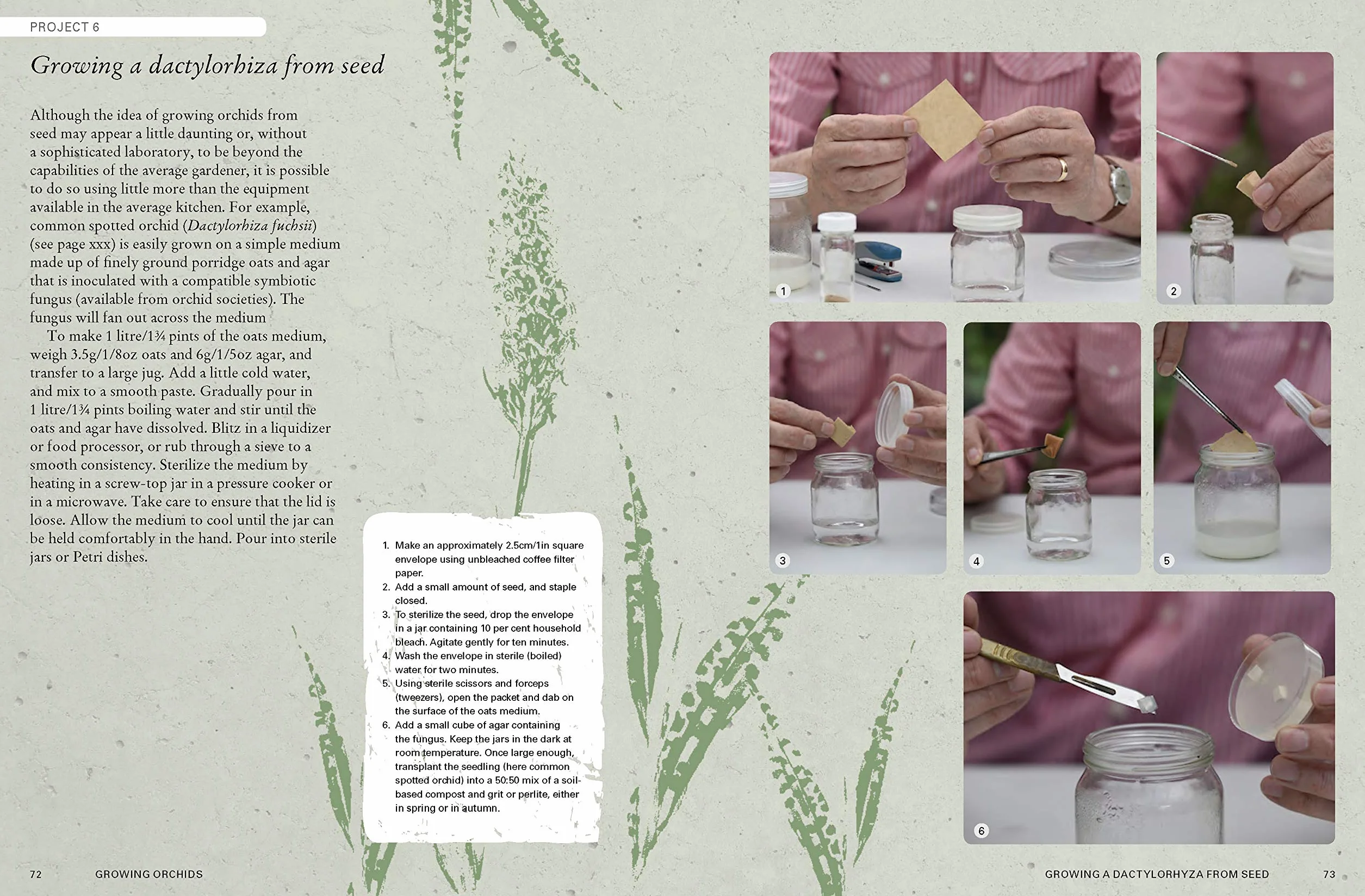 The Kew Gardener's Guide to Growing Orchids Volume 6