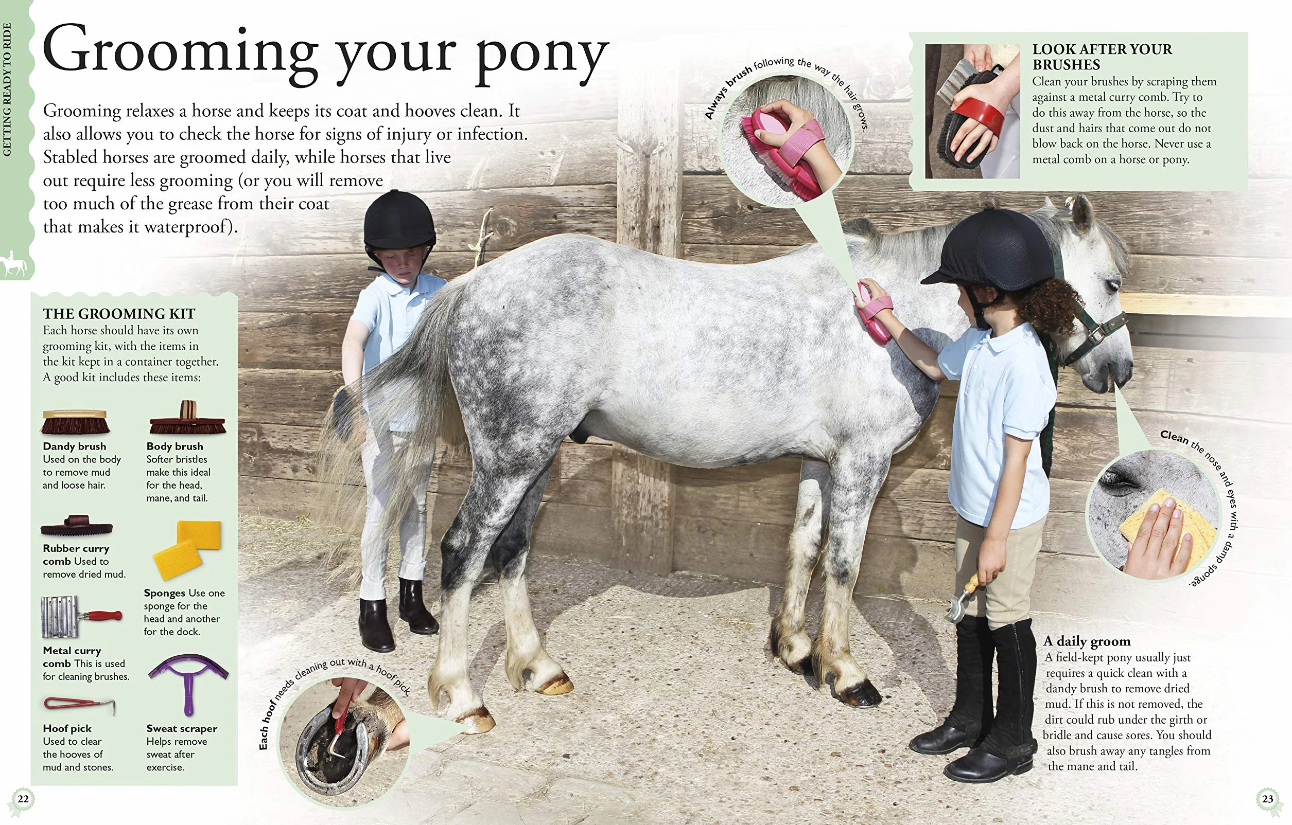 How To...Horse Riding: A Step-by-Step Guide to Mastering Your Skills