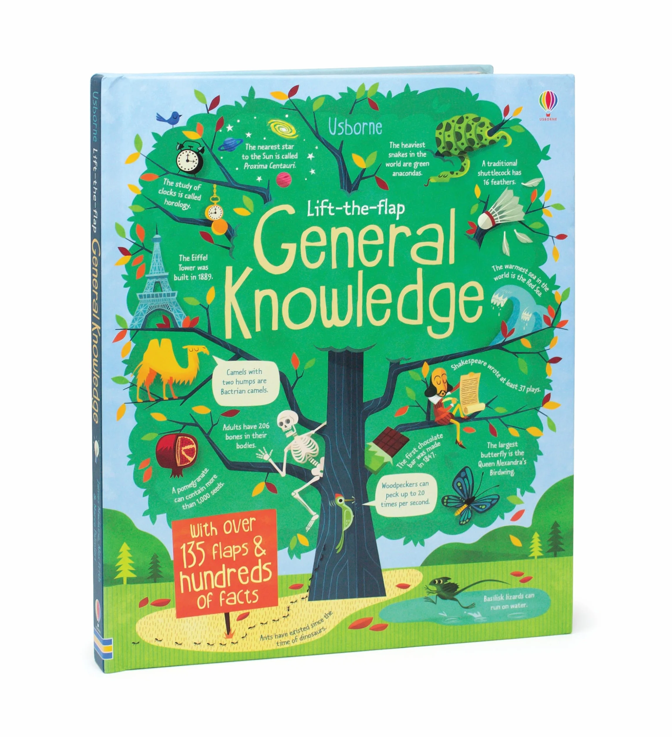 Lift-the-Flap General Knowledge (See Inside)