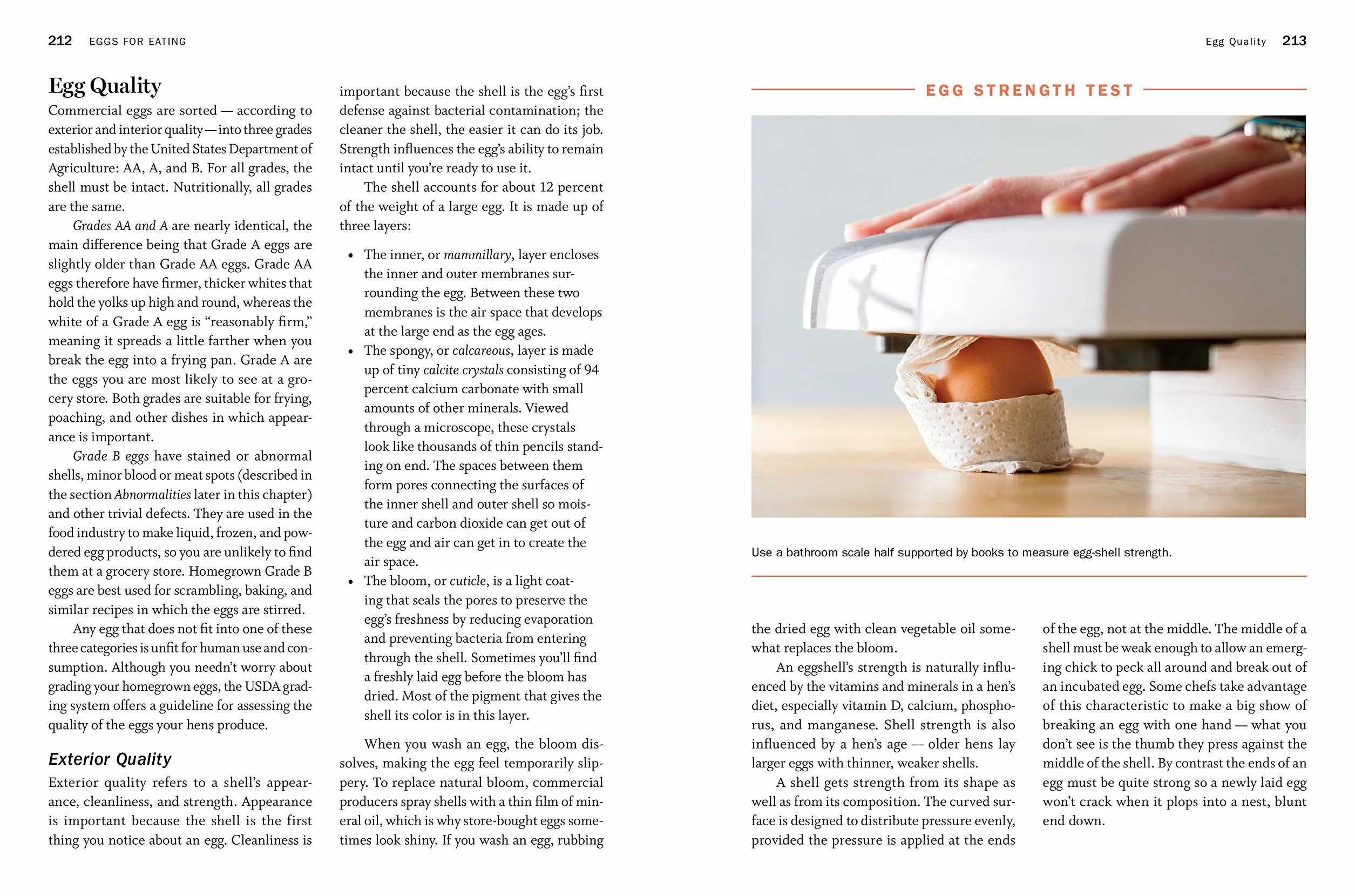 Storey's Guide to Raising Chickens, 4th Edition: Breed Selection, Facilities, Feeding, Health Care, Managing Layers & Meat Birds