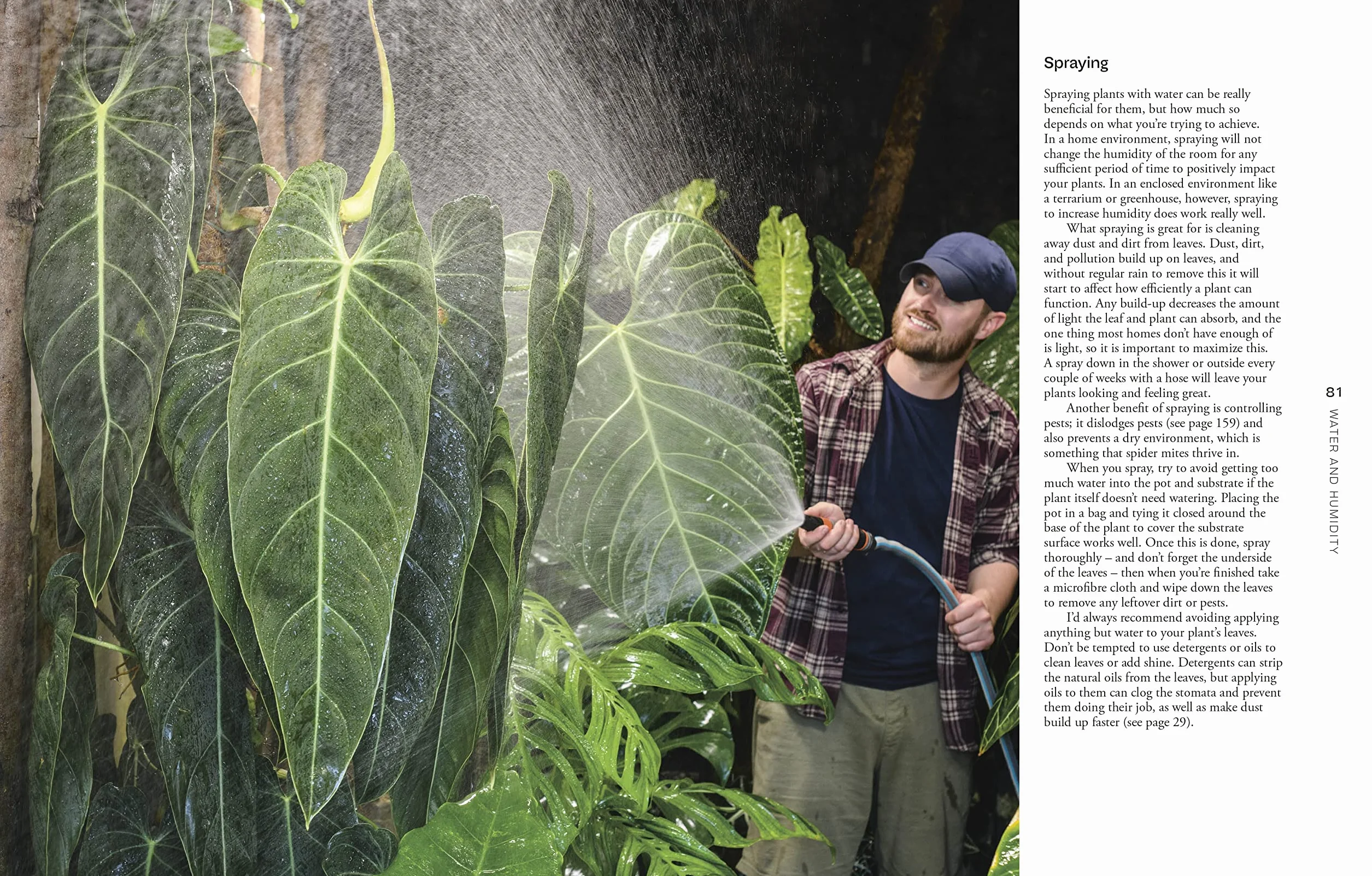 Not Another Jungle: Comprehensive Care for Extraordinary Houseplants